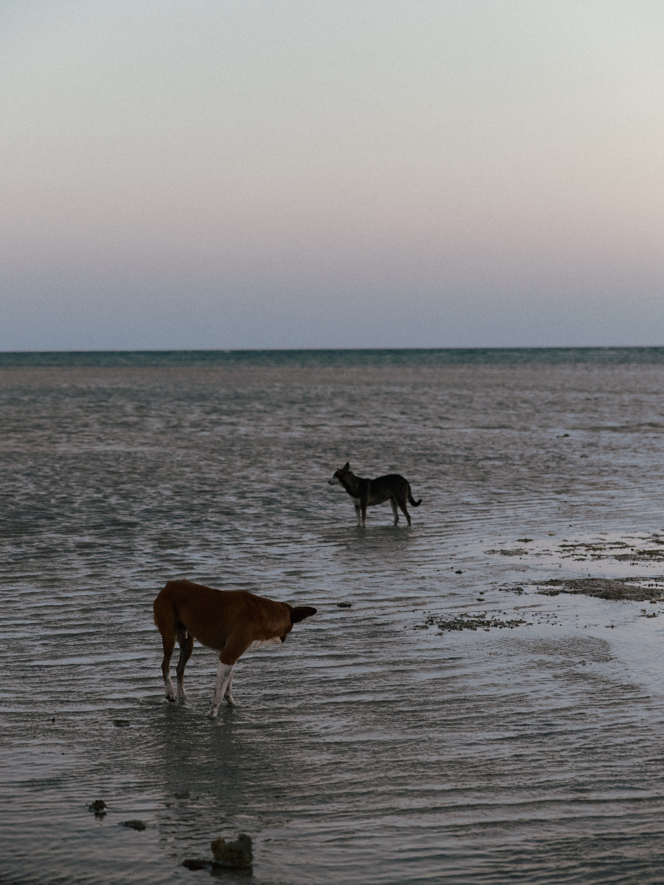 Природа сквозь. Jorgis Talè — photographer, kind person, teacher of arts and other mag