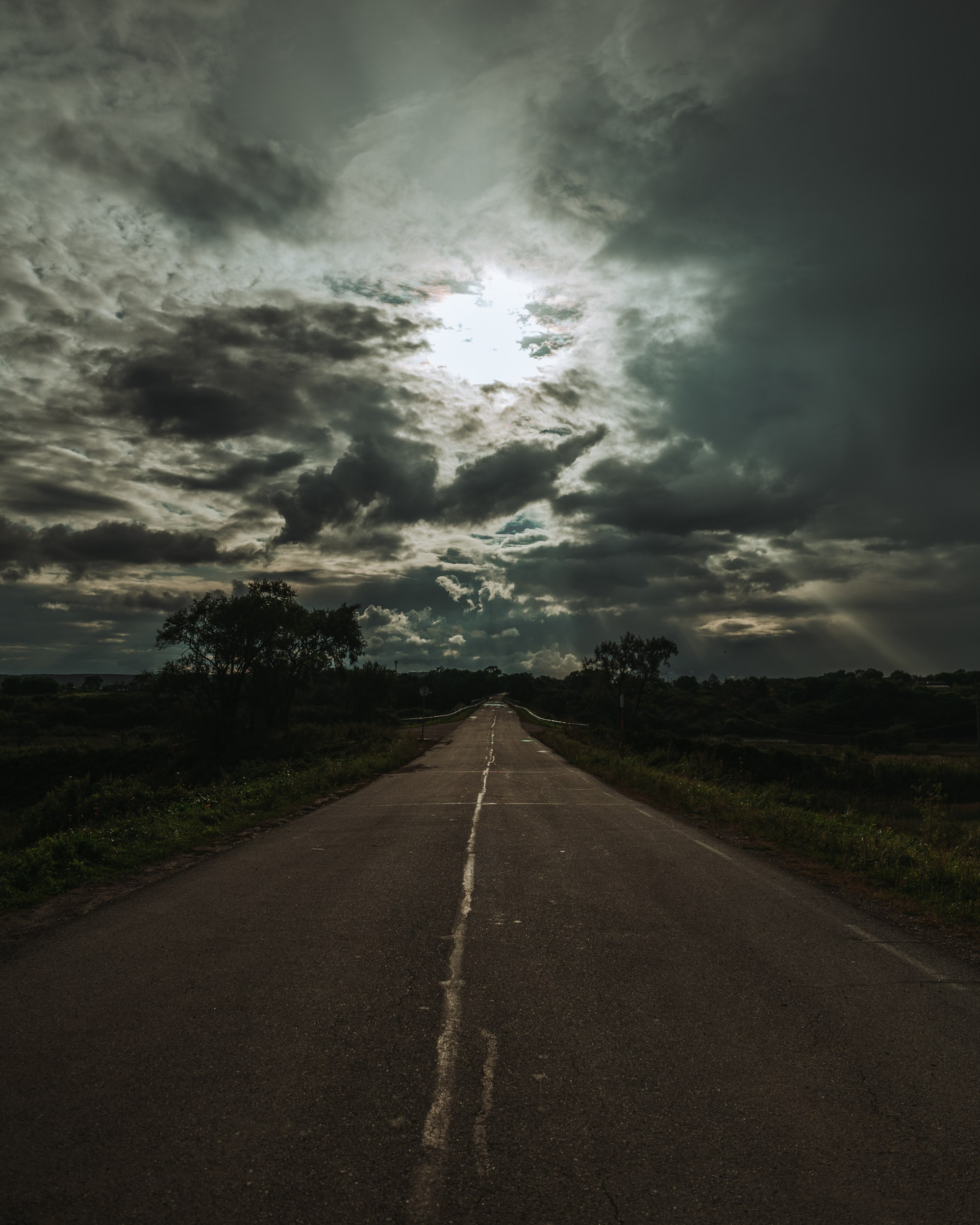 Russia. Primorskiy Kray. Photographer in Tokyo Anatolii Ozarto