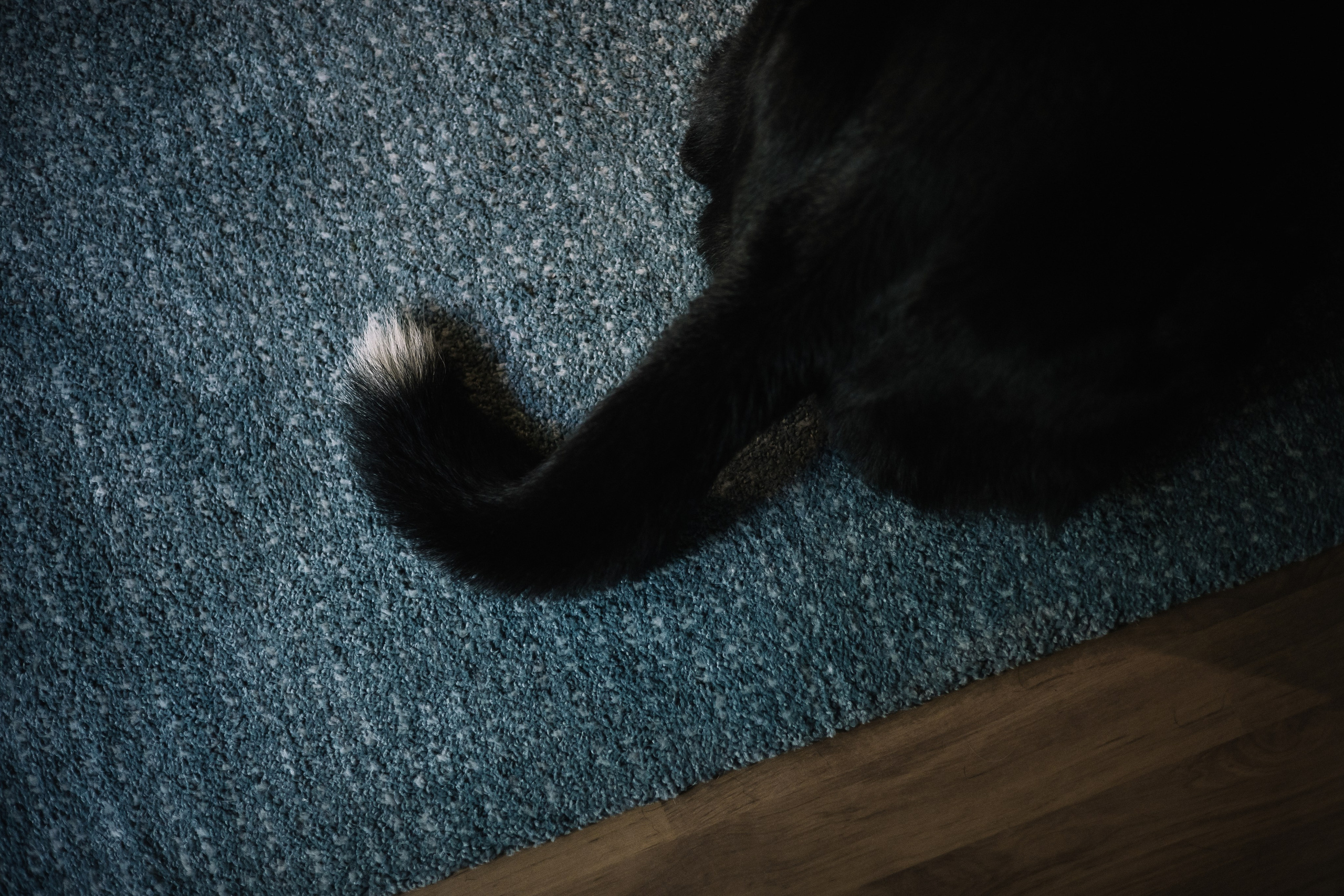 Ира и Морфей. Фотограф Анна Луценко Москва