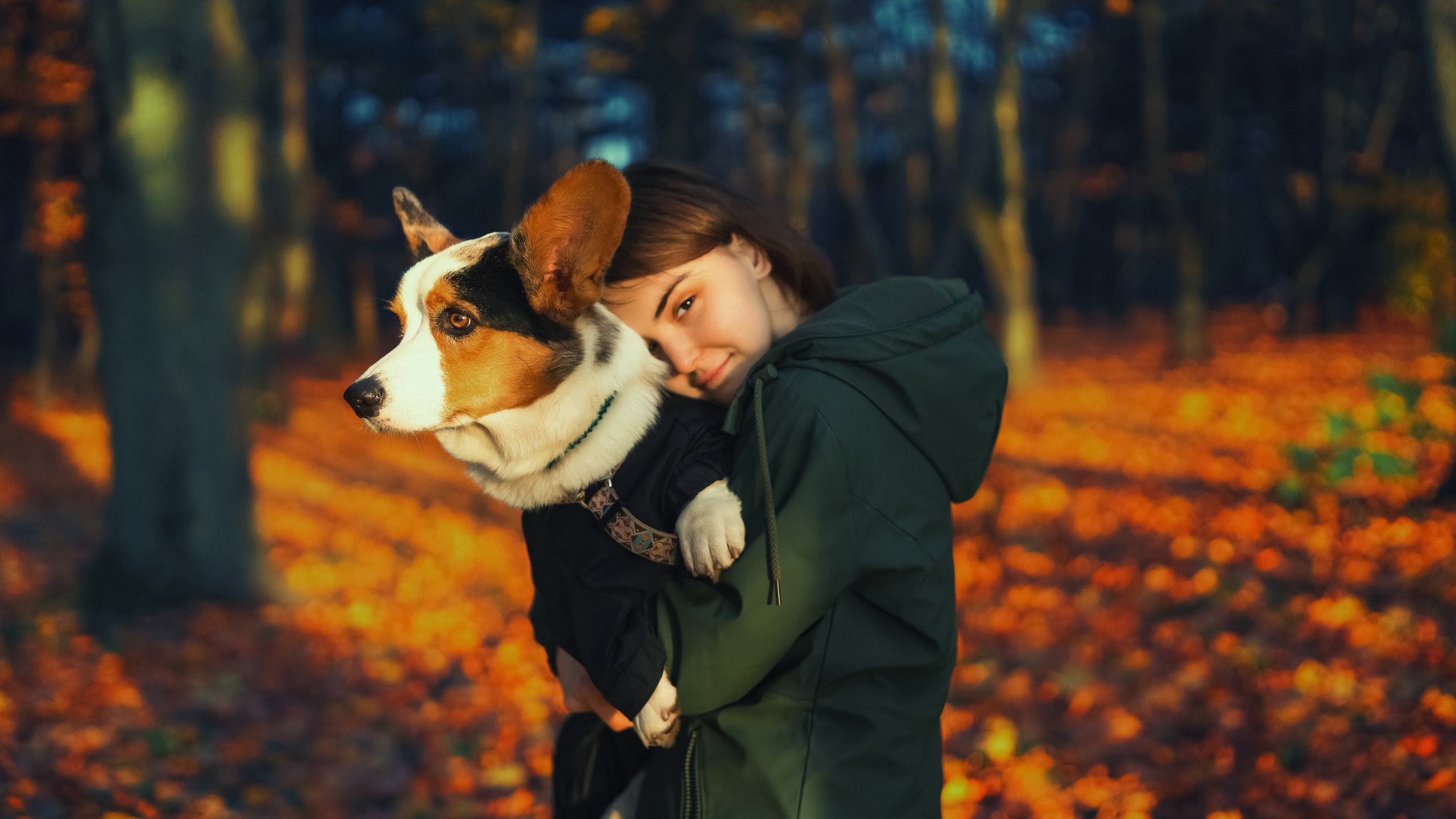 Девочка обнимает собаку породы корги в осеннем парке
