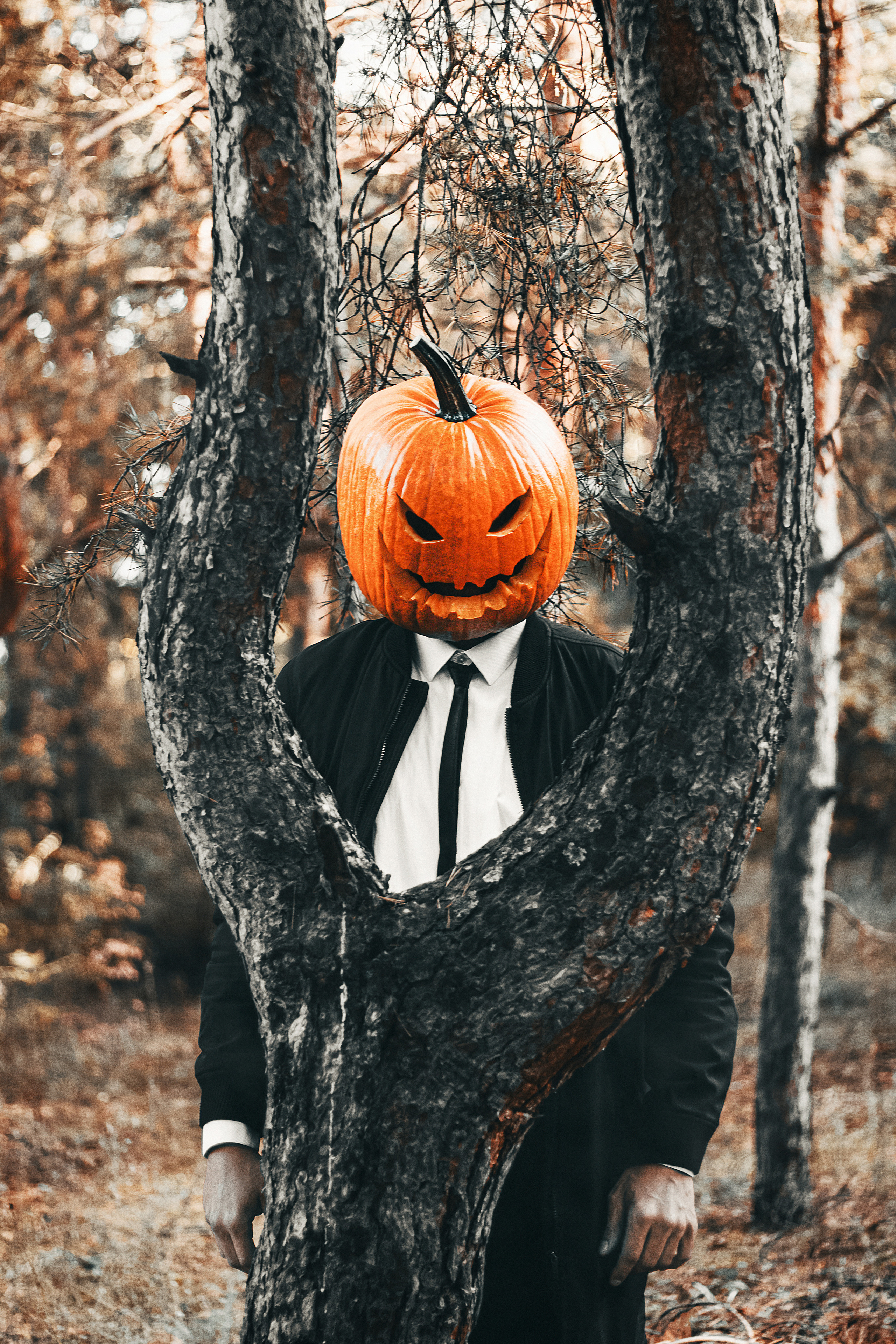 Парень в строгом костюме в маске тыквы стоит у дерева