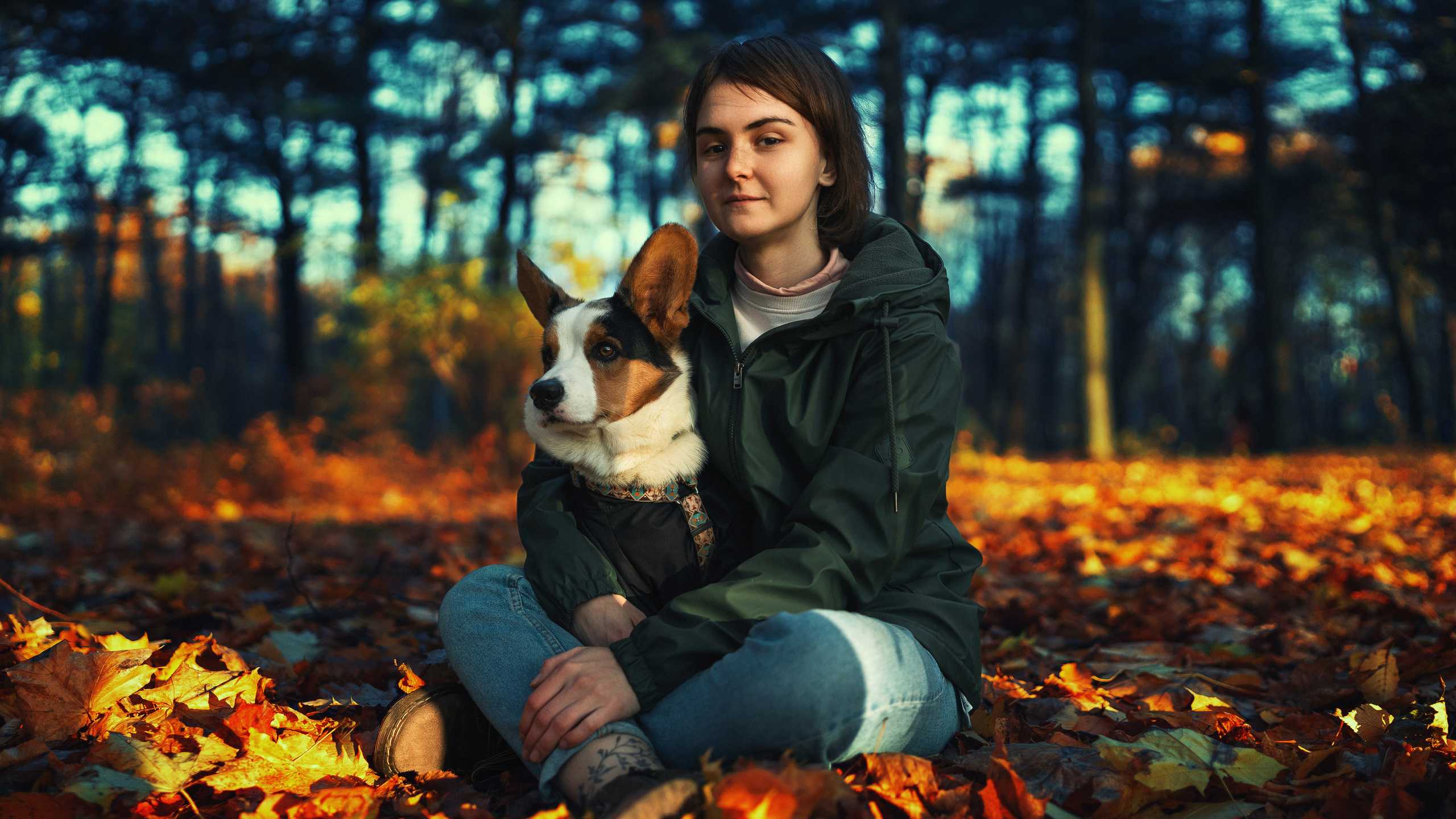 Девочка держит собаку породы корги на ногах в осеннем парке