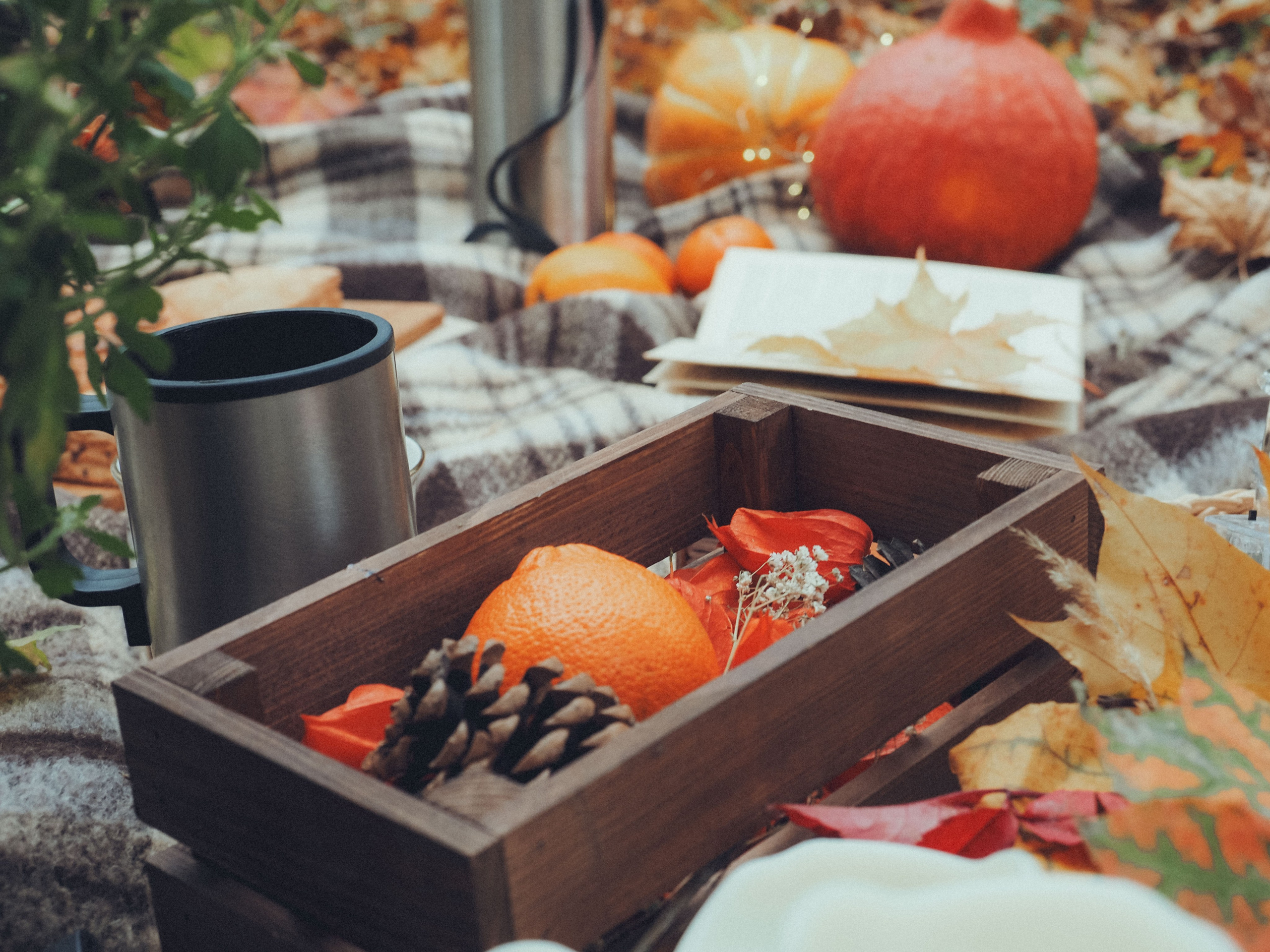 Осенняя лавстори. Фотограф в Москве — Сергей Люкшинов