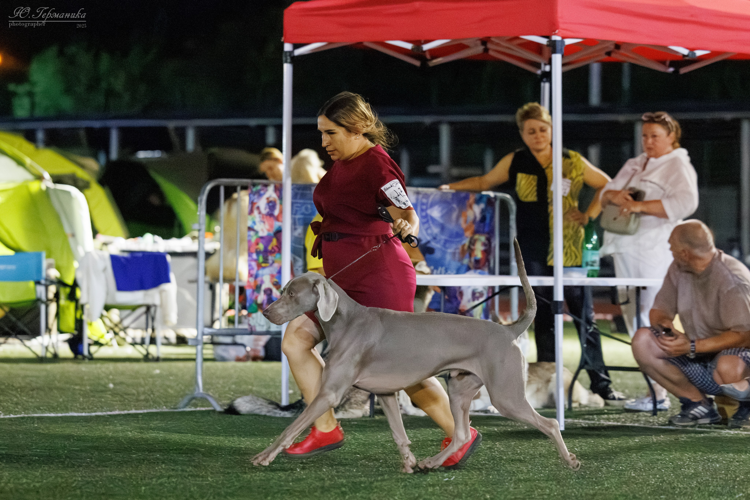 Калининград 25-27.07 Волгоград 1-3.08 2025. Фотограф-анималист Юлия Германика
