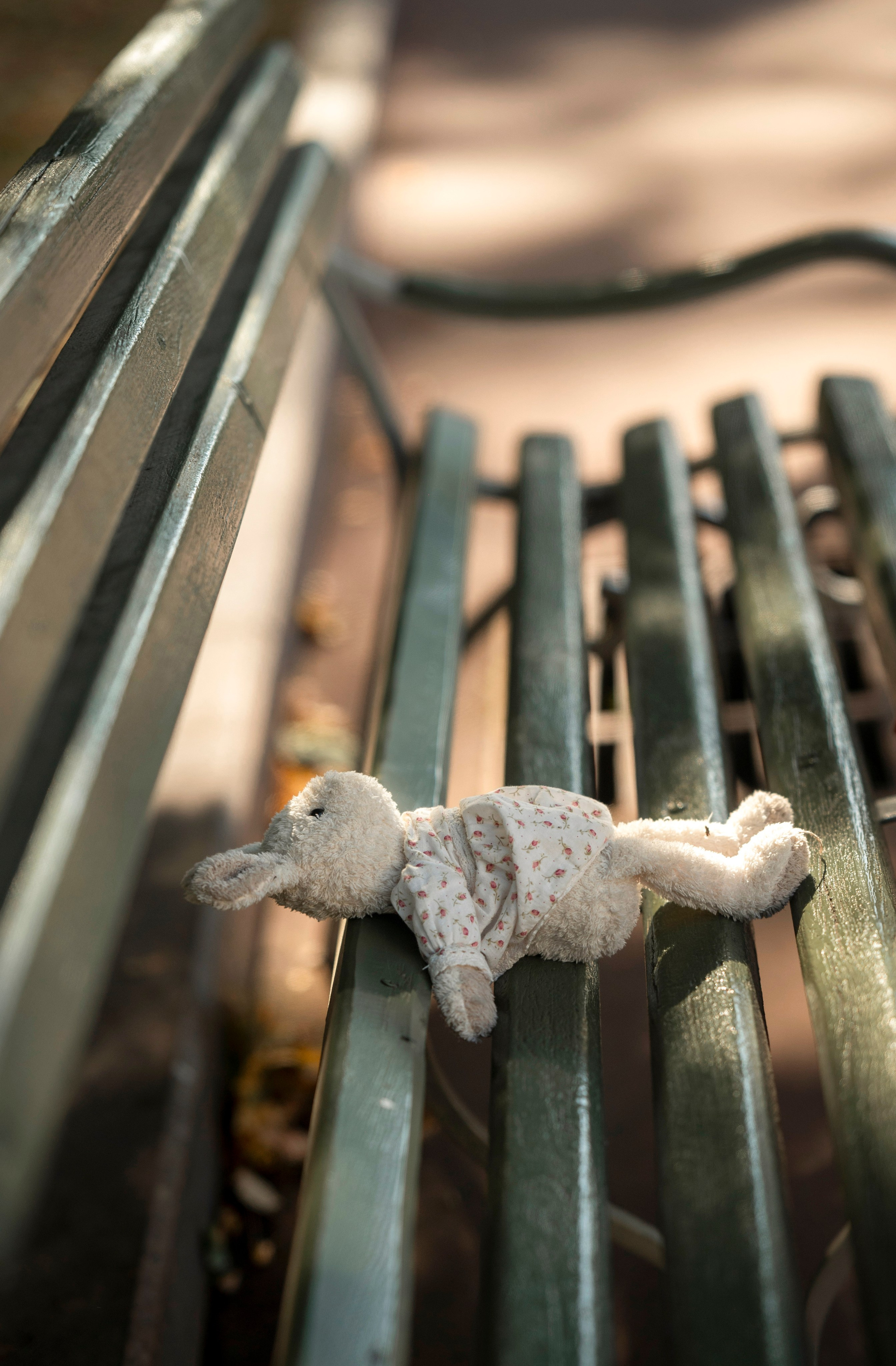 Прогулка с Полиной. Детский и семейный фотограф