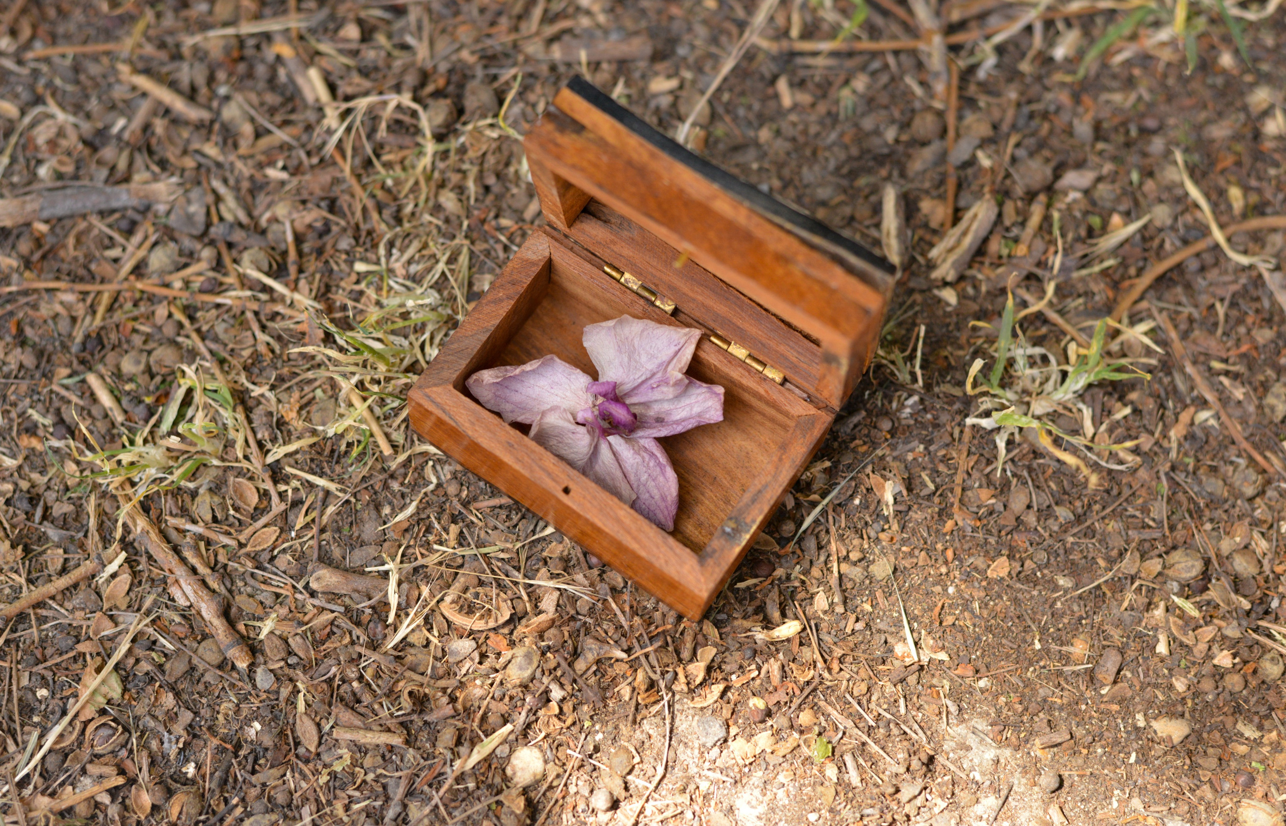 Pot au feu. Maria Abdullaeva