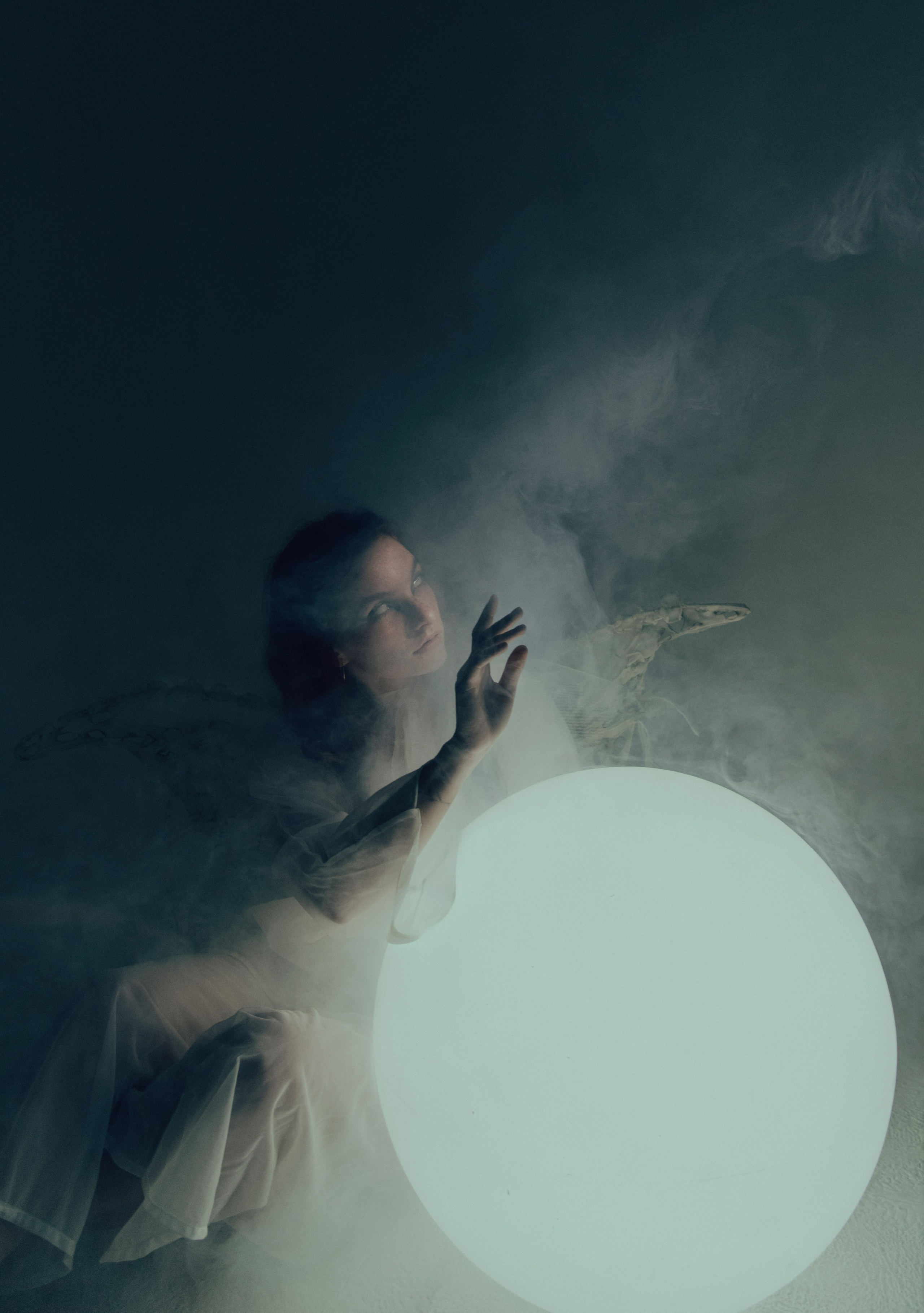 Мотылек. Фотограф Anita Mivchas