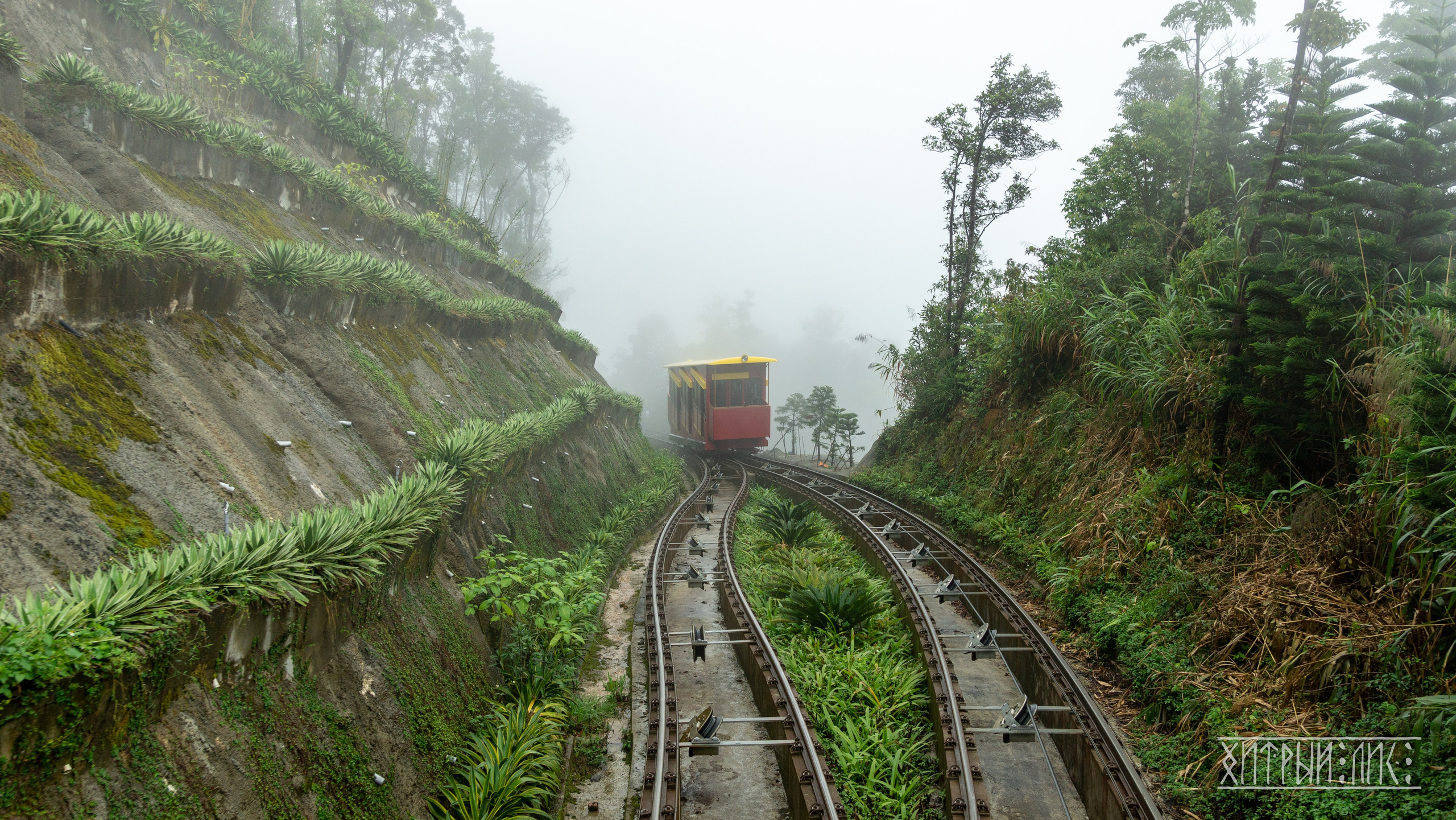 Вьетнам. Фотограф-путешественник Самойлов Максим «Sly Fox»
