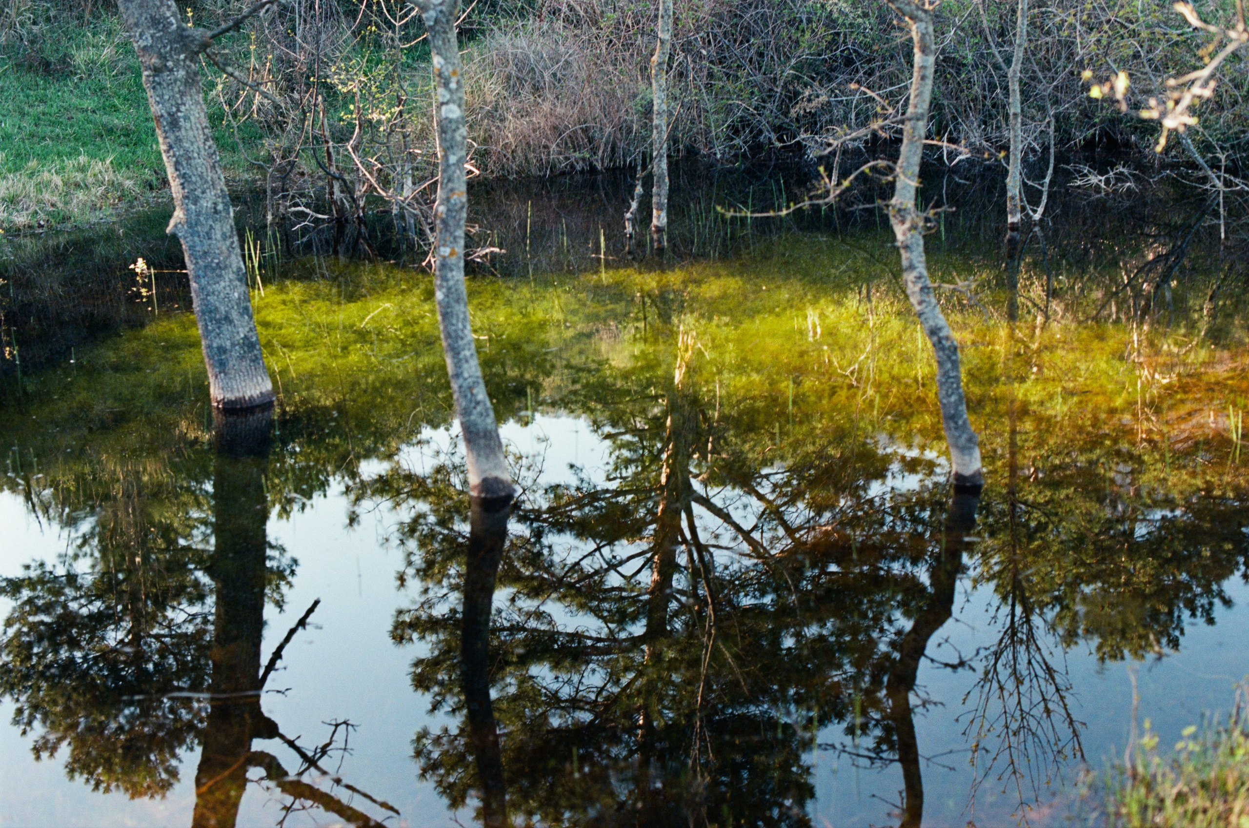 Follow you // ukraine, crimea II. EVER EXPOSED