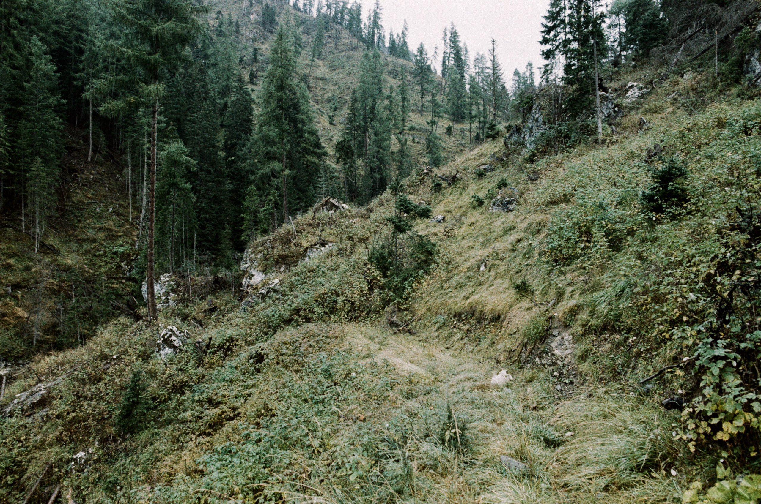 Wasted // italy, dolomites II. EVER EXPOSED