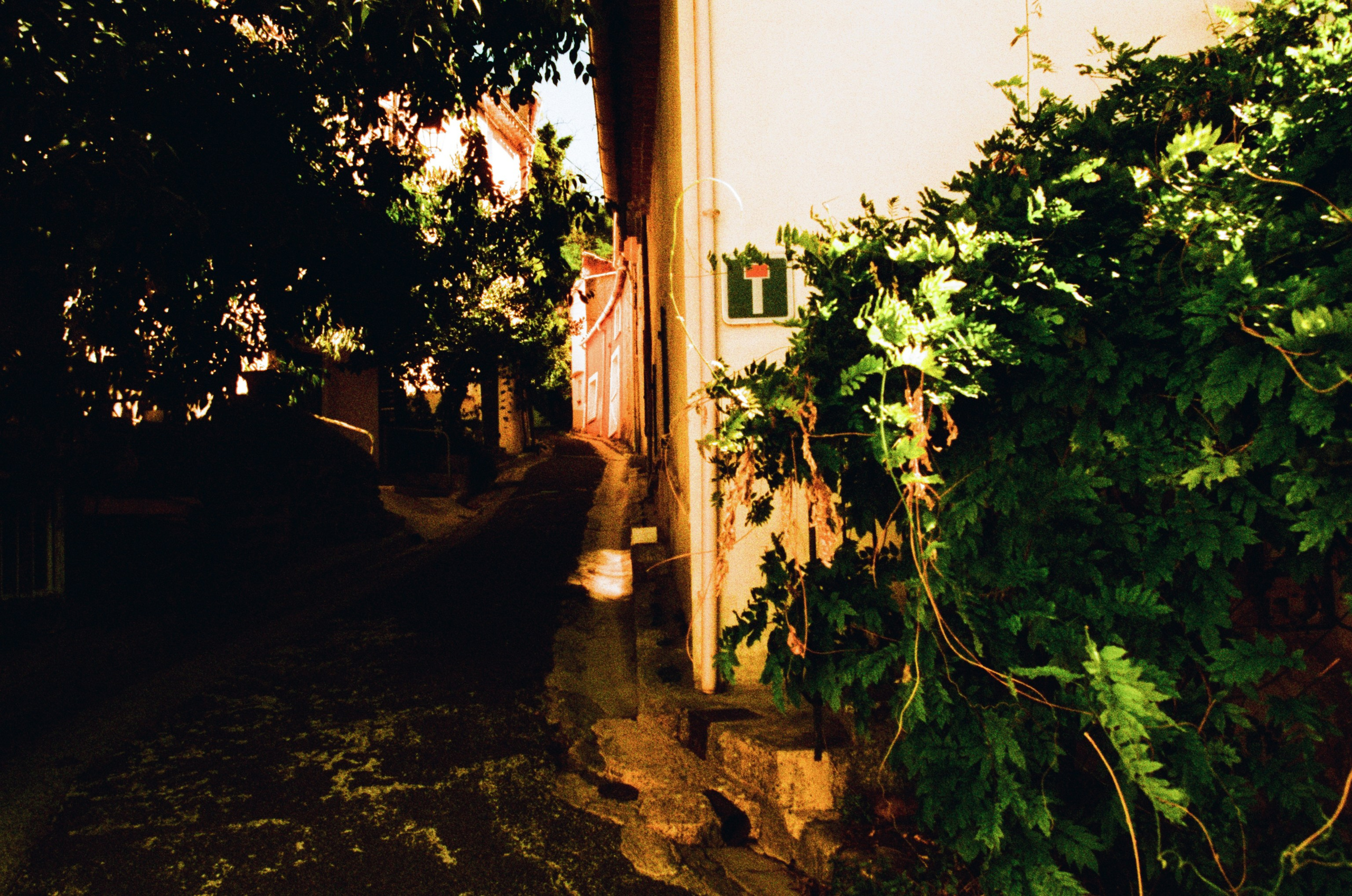 The contract // france, mazaugues. EVER EXPOSED