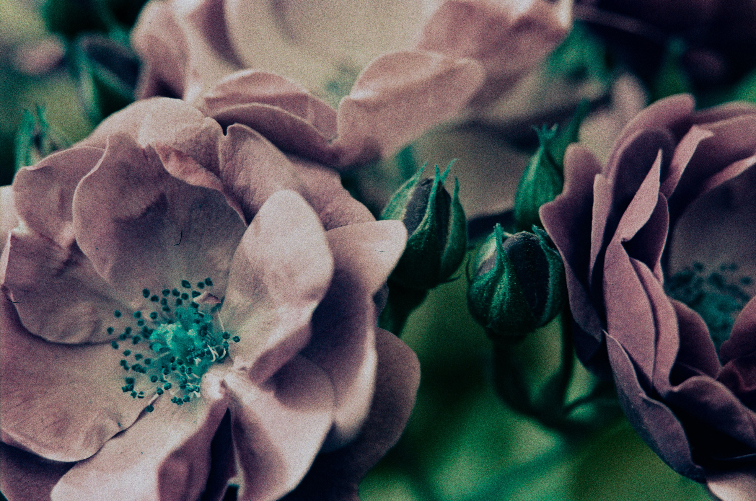 Point of no reply // ukraine, crimea II. EVER EXPOSED