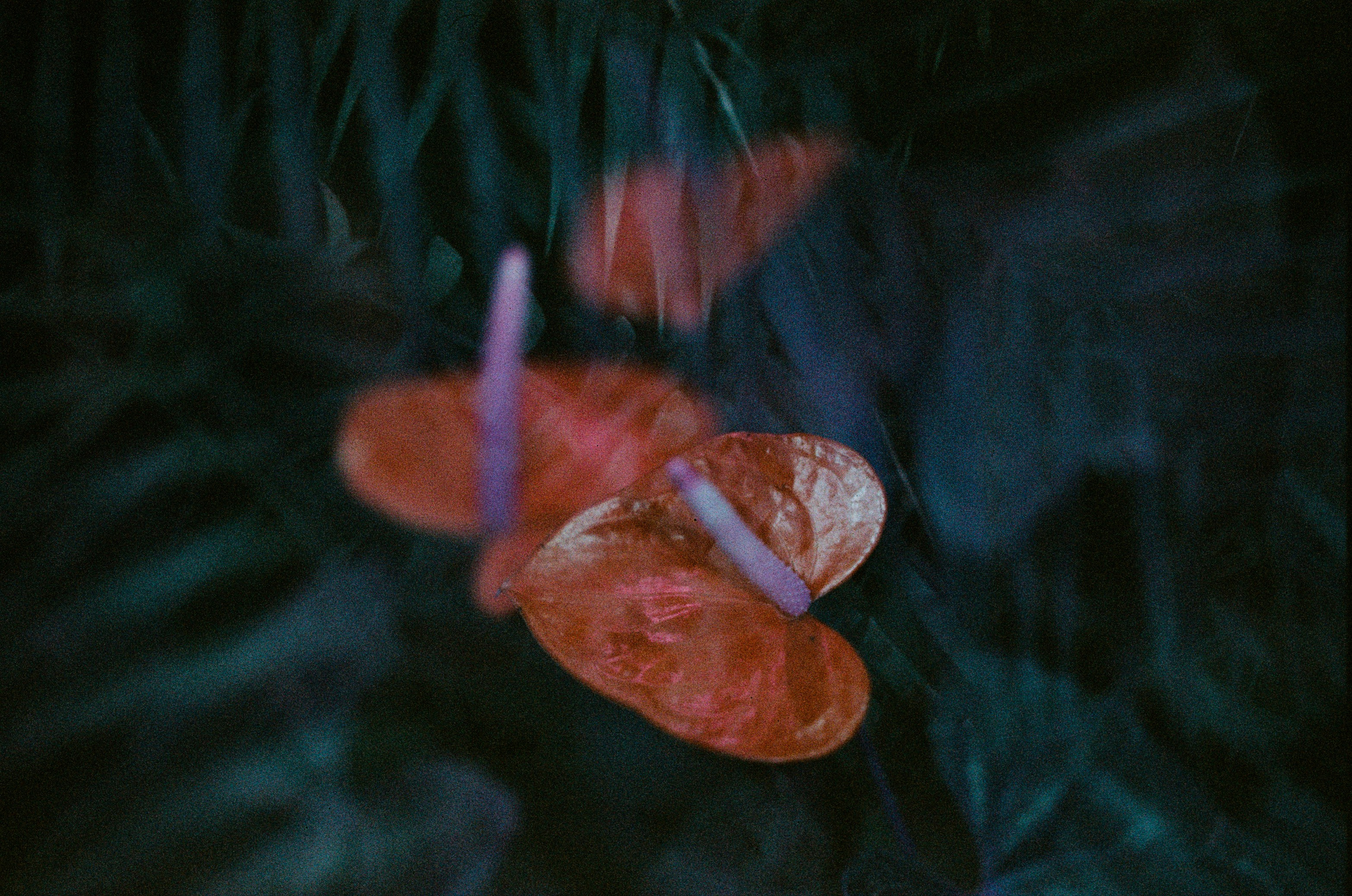 If i get high II. EVER EXPOSED