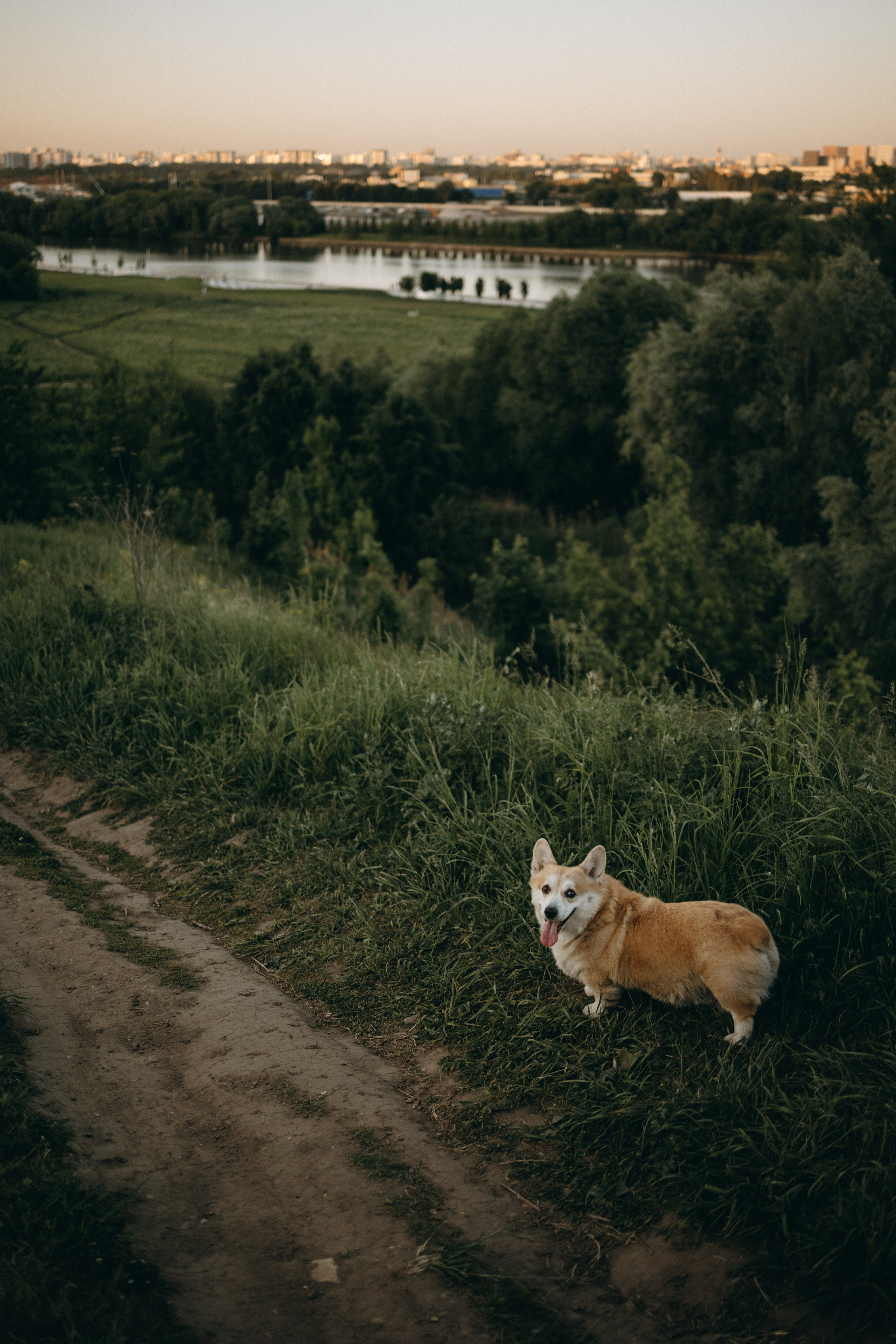 Кристина и Шелби. Фотограф — Анималист | Санкт-Петербург