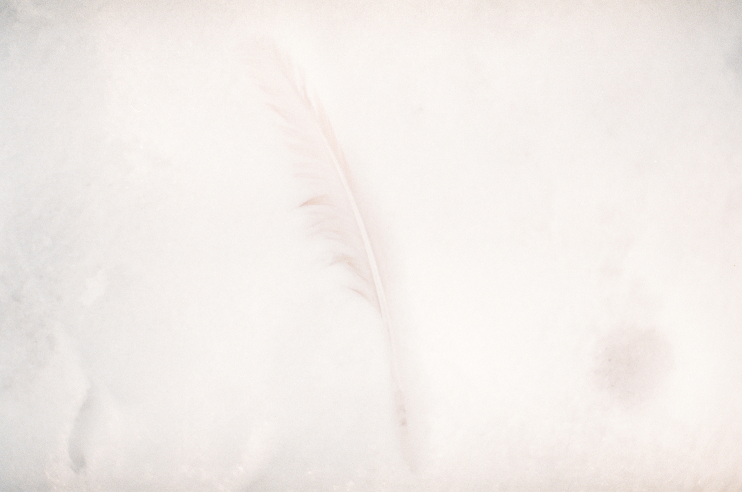 Подземная река. Дмитрий Ермаков. Фотограф