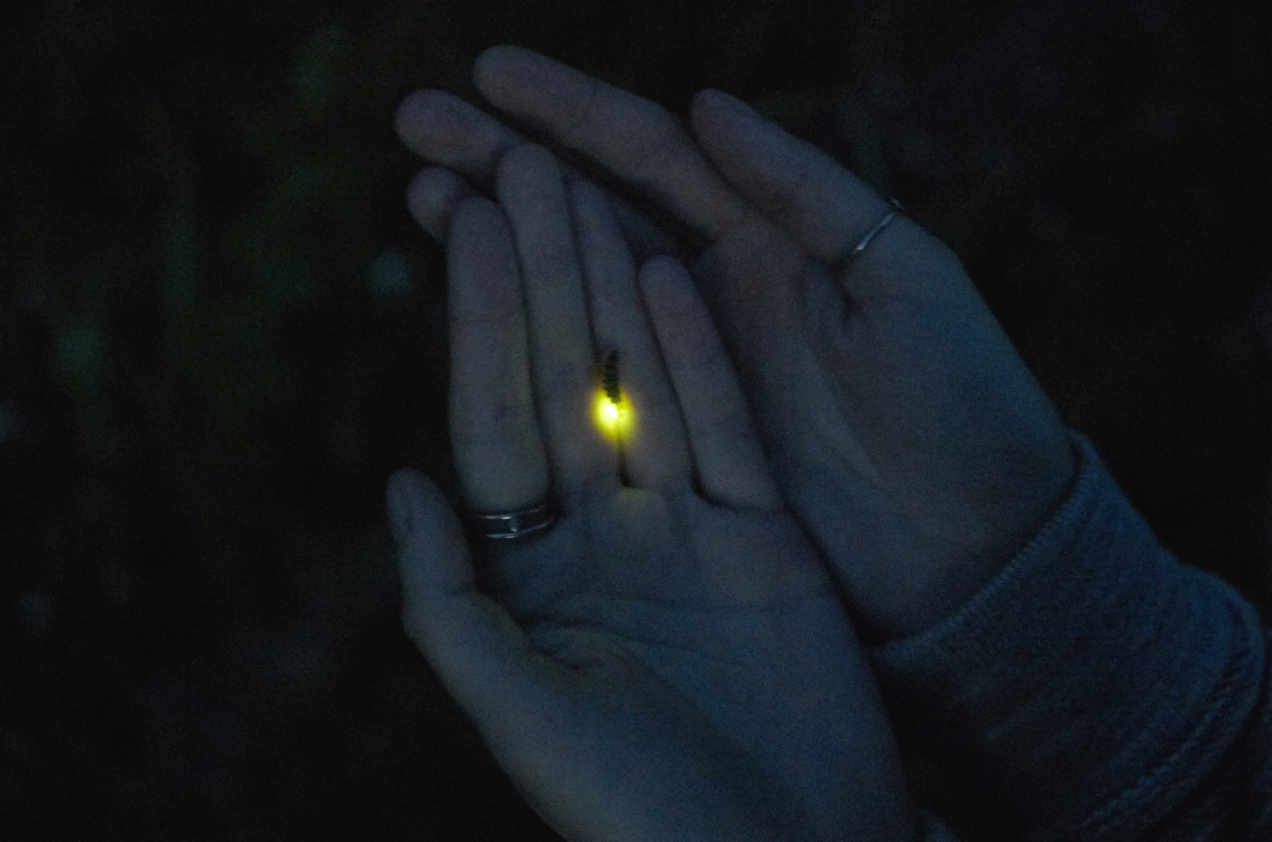 Подземная река. Дмитрий Ермаков. Фотограф