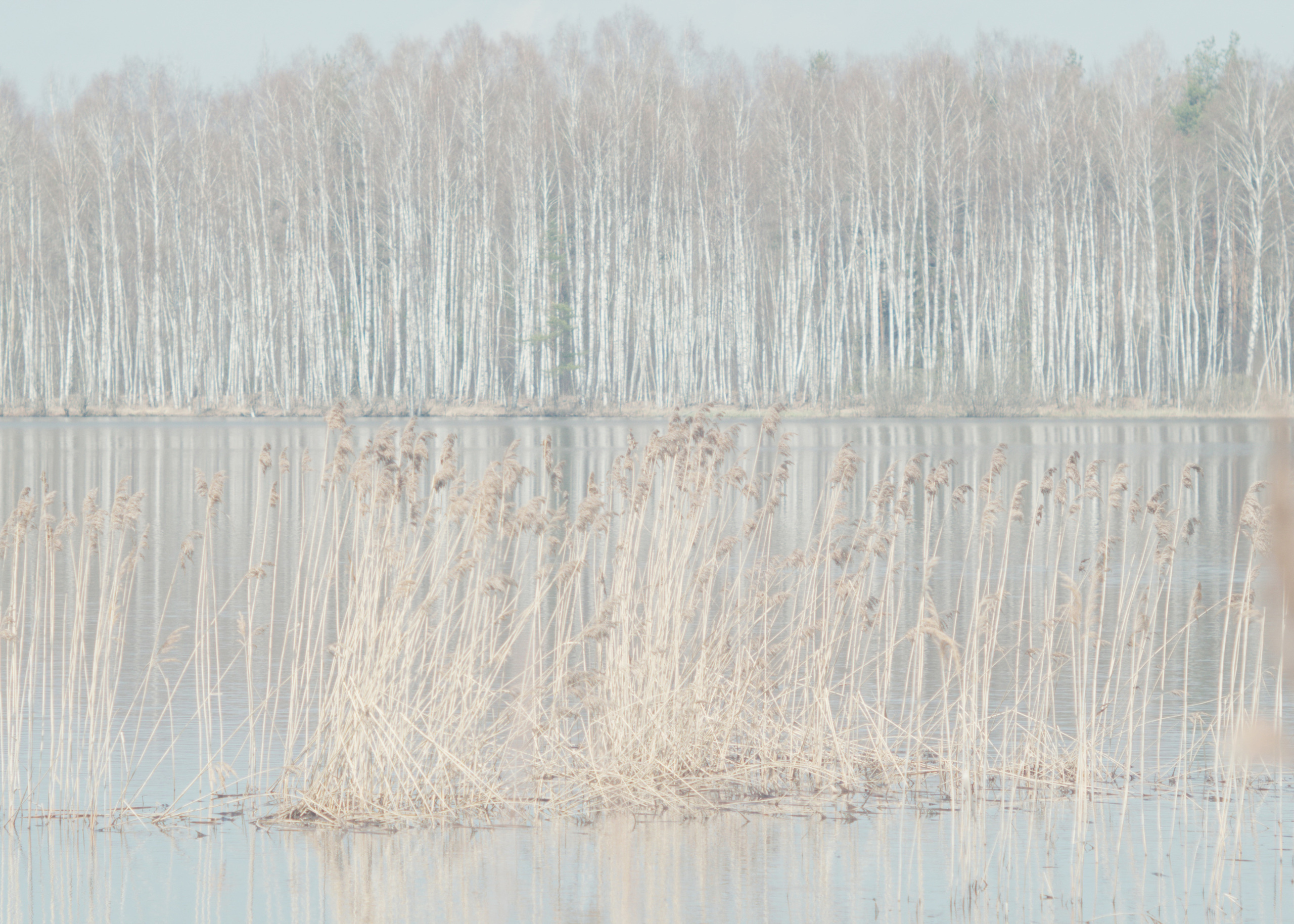 Подземная река. Дмитрий Ермаков. Фотограф