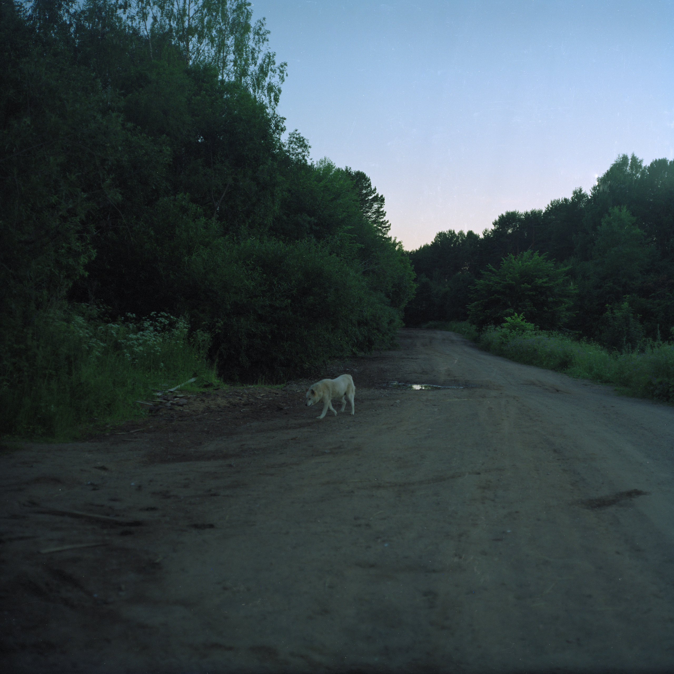 Подземная река. Дмитрий Ермаков. Фотограф
