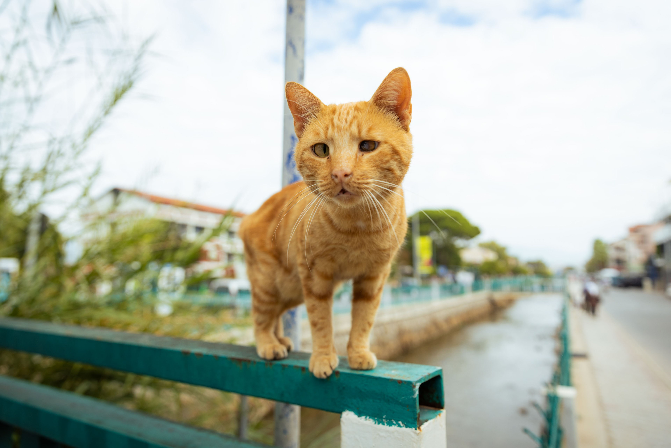 Турция (осень 2023). Фотограф Виноградов Константин