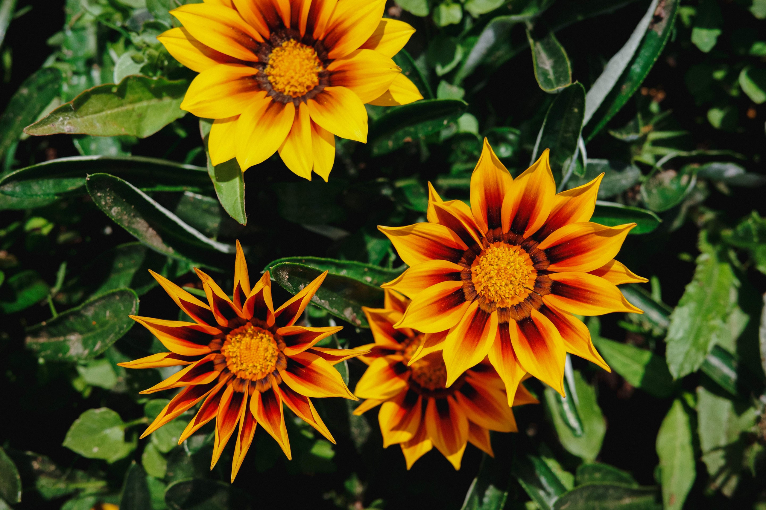 2024.06. Фотограф Алексей Алексеев