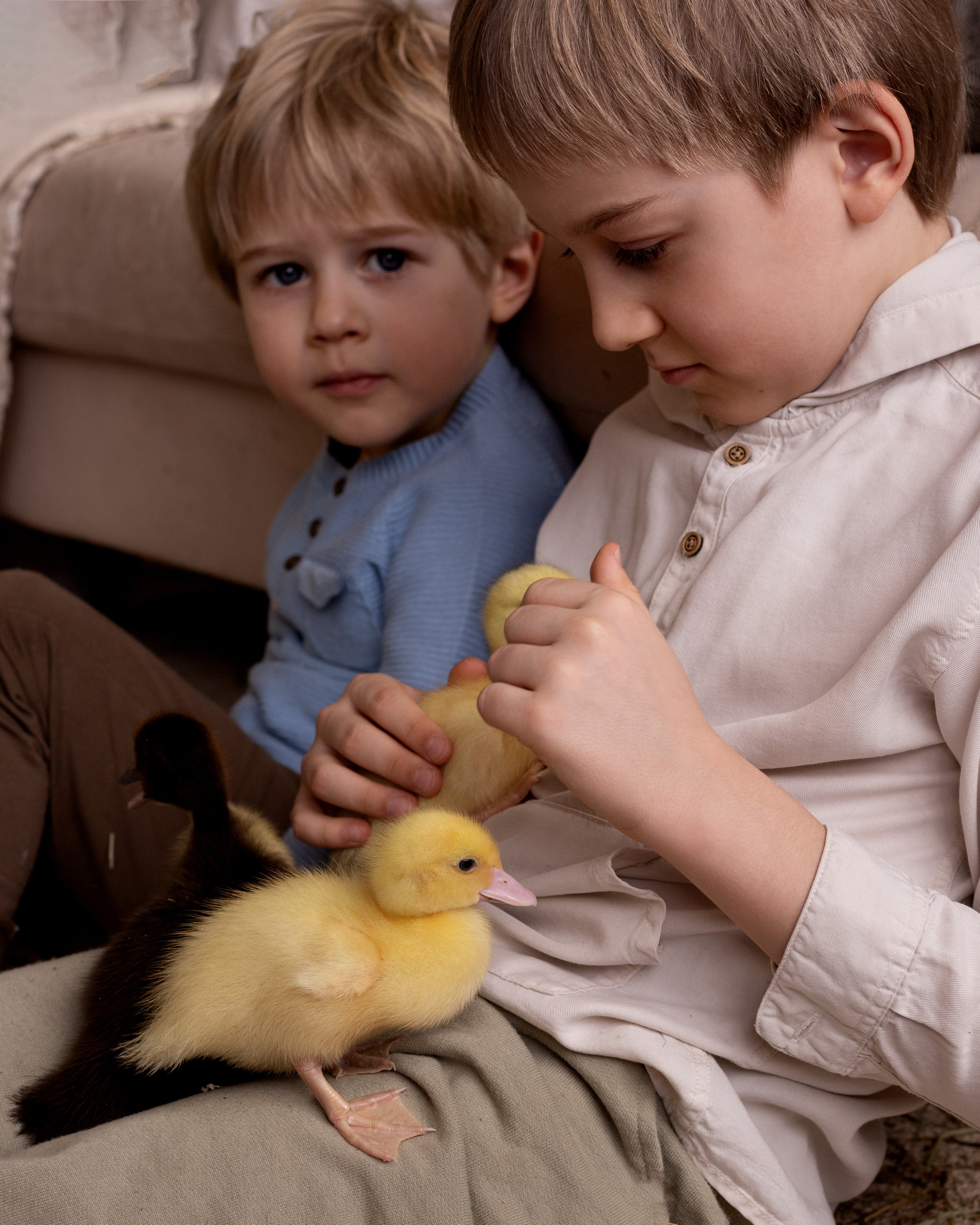 Утята. Семейный фотограф в Санкт-Петербурге Ирина Иванова