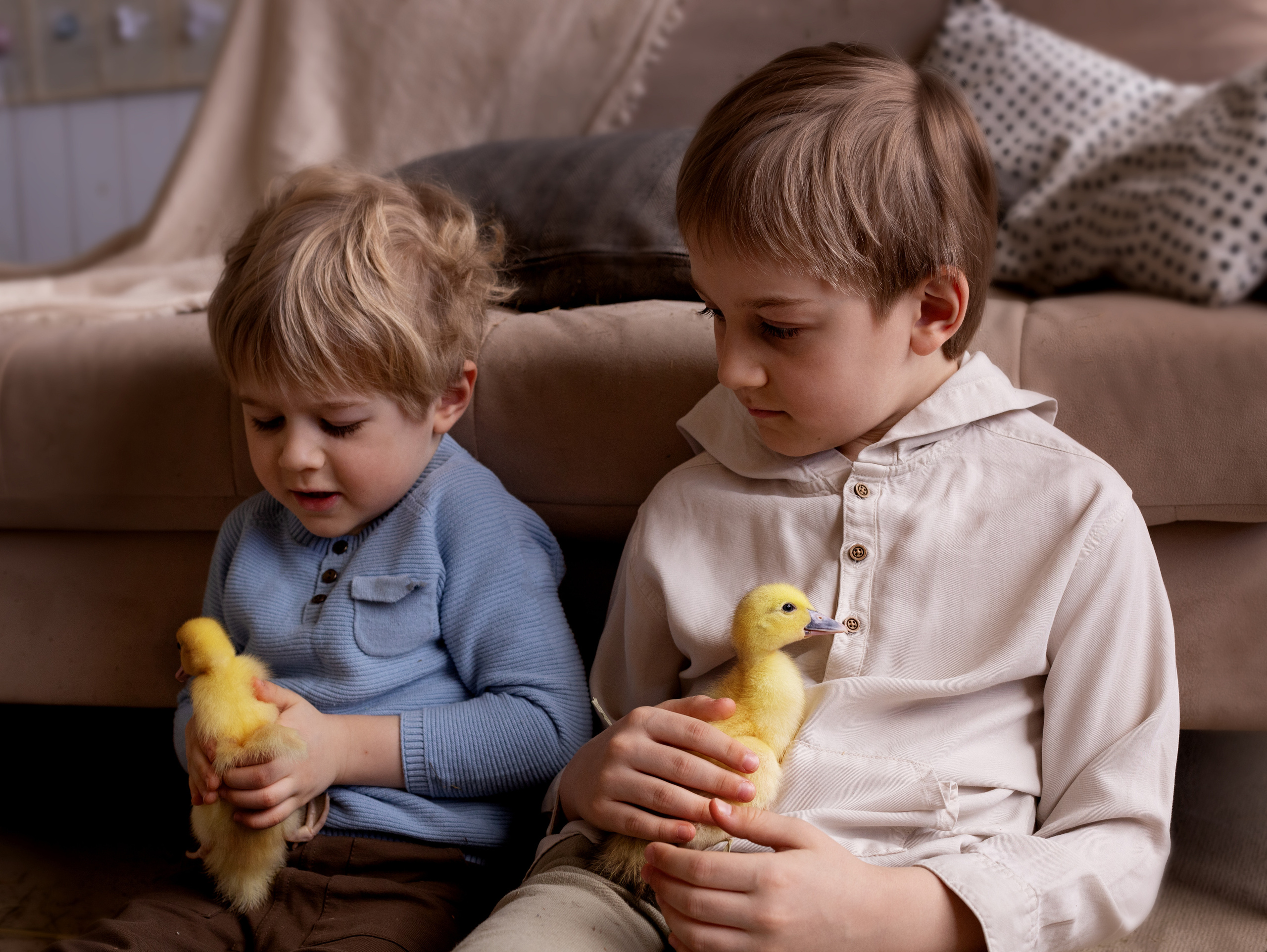 Утята. Семейный фотограф в Санкт-Петербурге Ирина Иванова