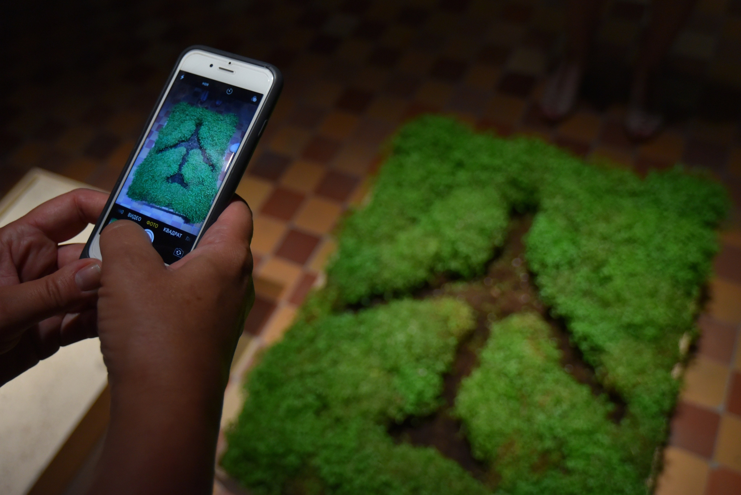 Выставки. Антон Великжанин — фотокорреспондент