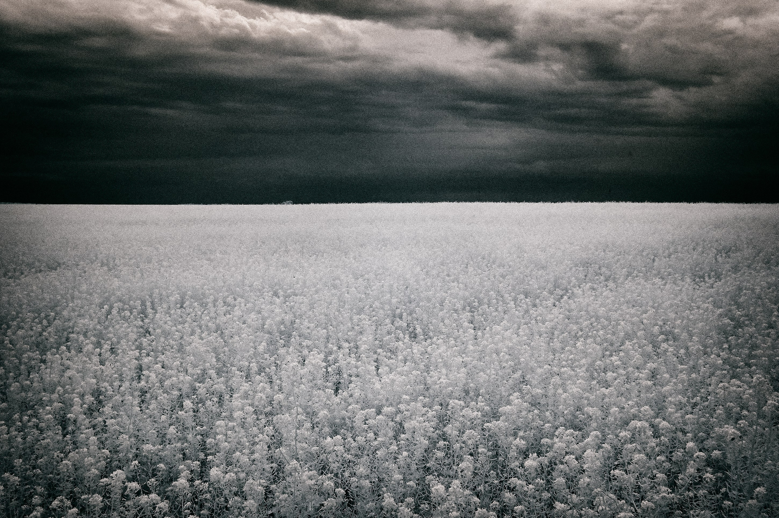 Infrared Photography. Solofilms