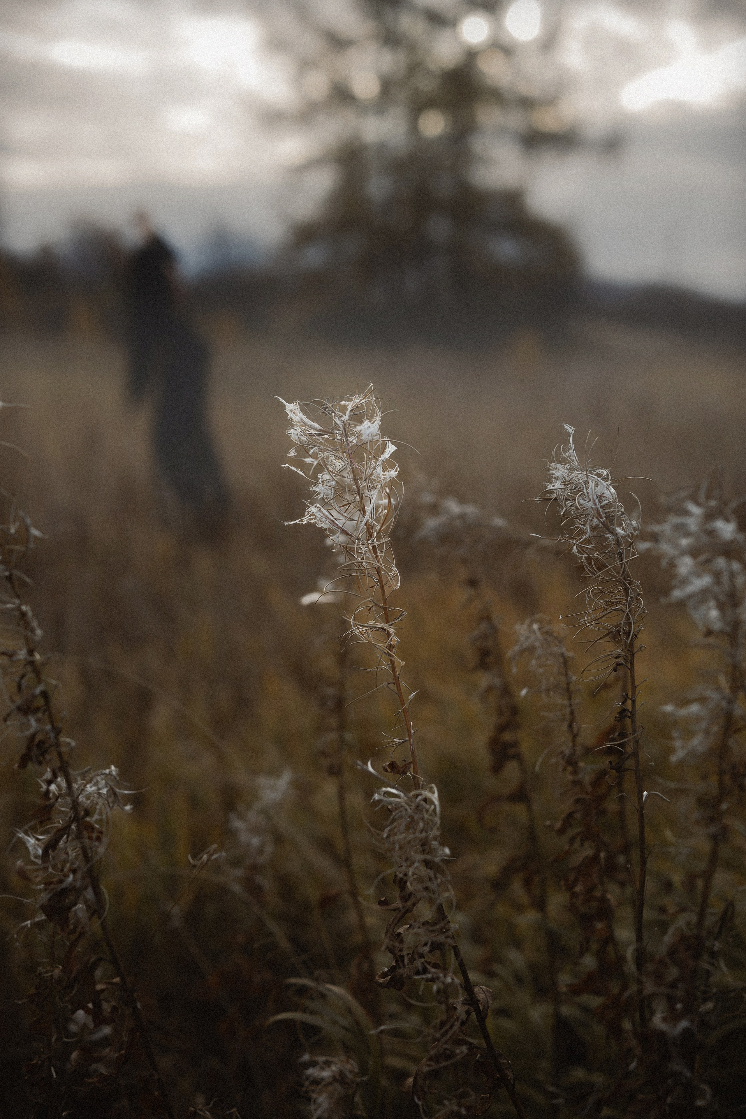 На заре. Портретный, семейный и свадебный фотограф в Нарьян-Маре