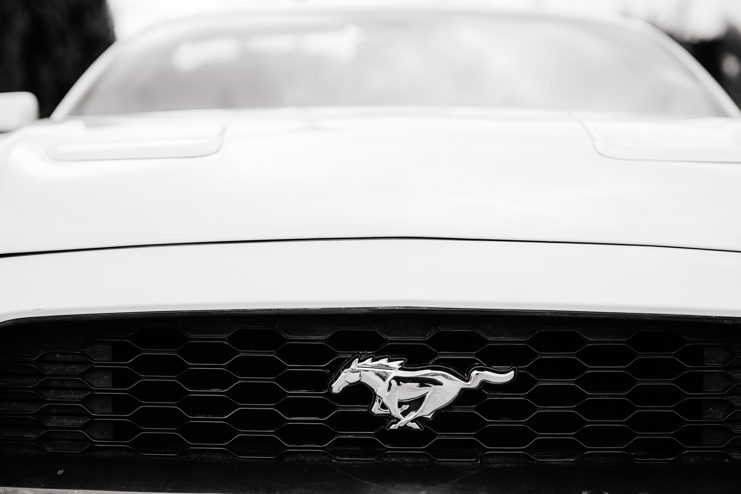 Ангелина и Никита. Свадебный фотограф Александр Воронов — Белгород, Воронеж, Москва