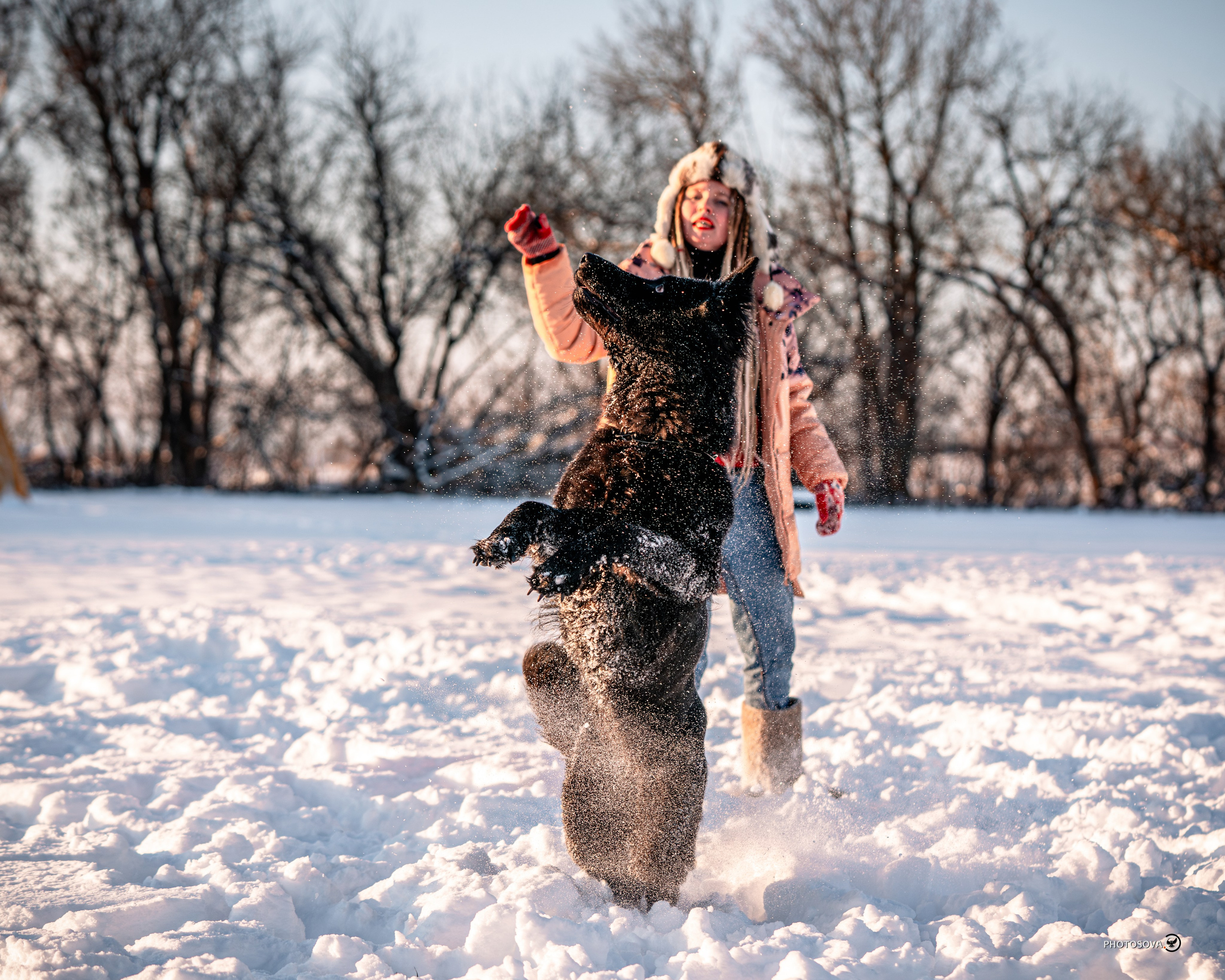 ФОТОПАМЯТЬ ВАШИХ ЭМОЦИЙ. Фотограф-анималист, семейный фотограф в Москве и Подмосковье. Фотосъёмка кинологических дисциплин