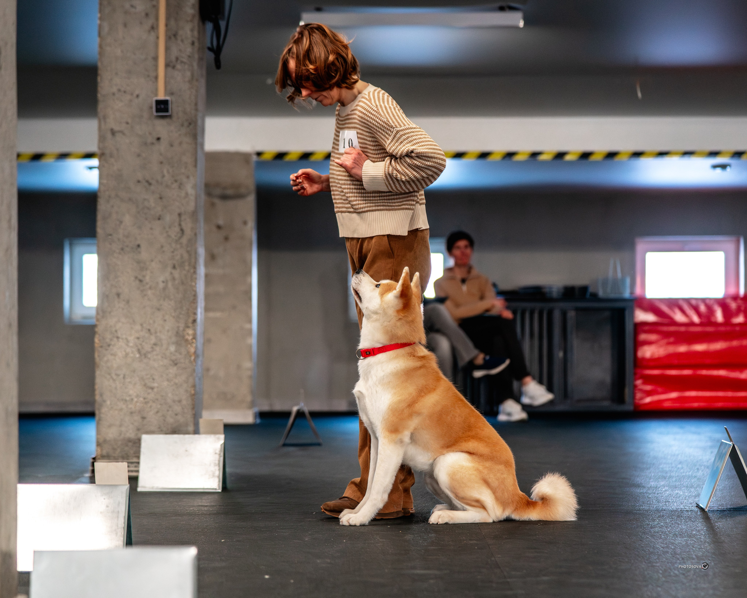 ТЫ И Я (соревнования по ралли-обидиенс). Фотограф-анималист, семейный фотограф в Москве и Подмосковье. Фотосъёмка кинологических дисциплин