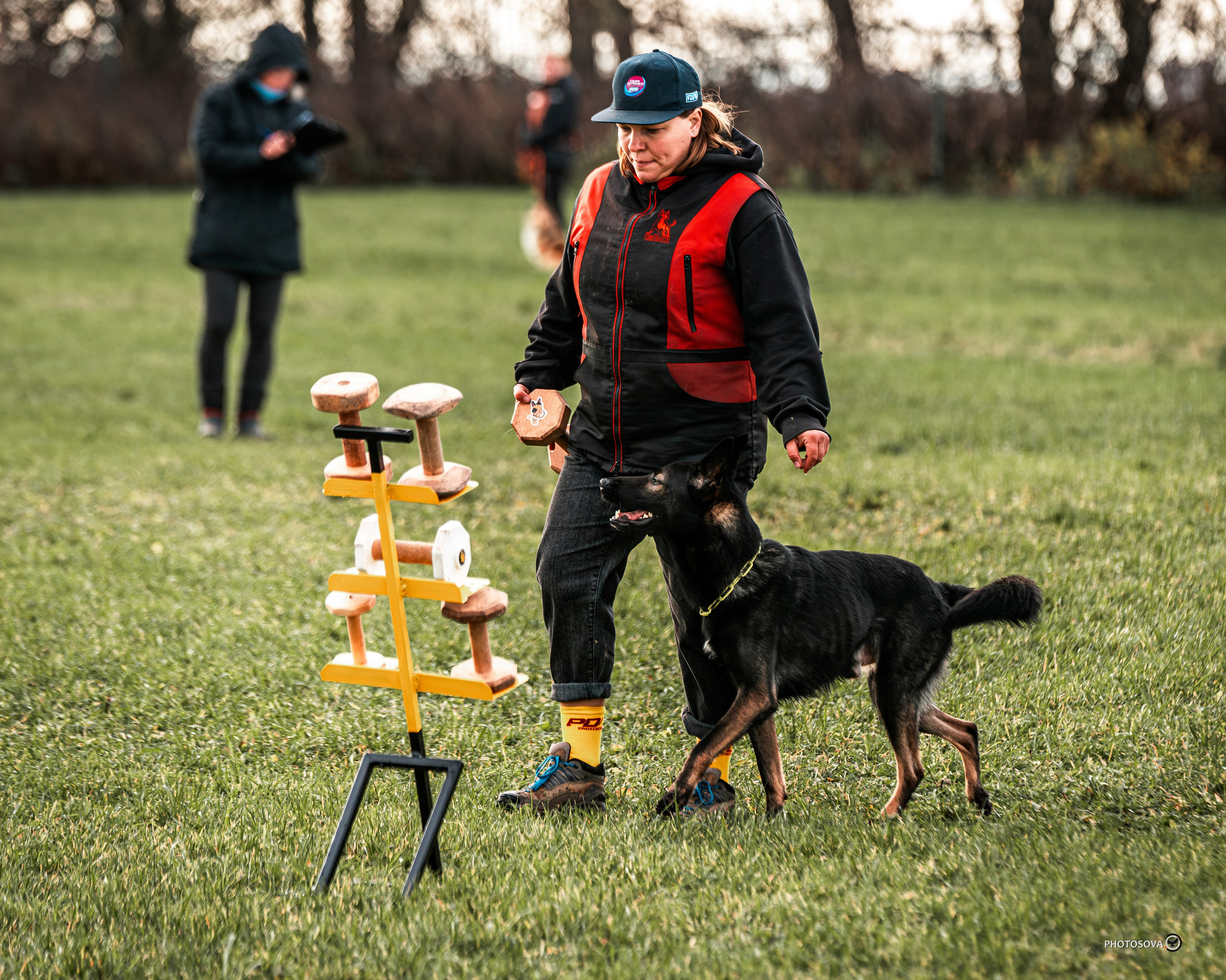 МЫ — КОМАНДА (соревнования) OKD, BH, IBGH, IGP. Фотограф-анималист, семейный фотограф в Москве и Подмосковье. Фотосъёмка кинологических дисциплин