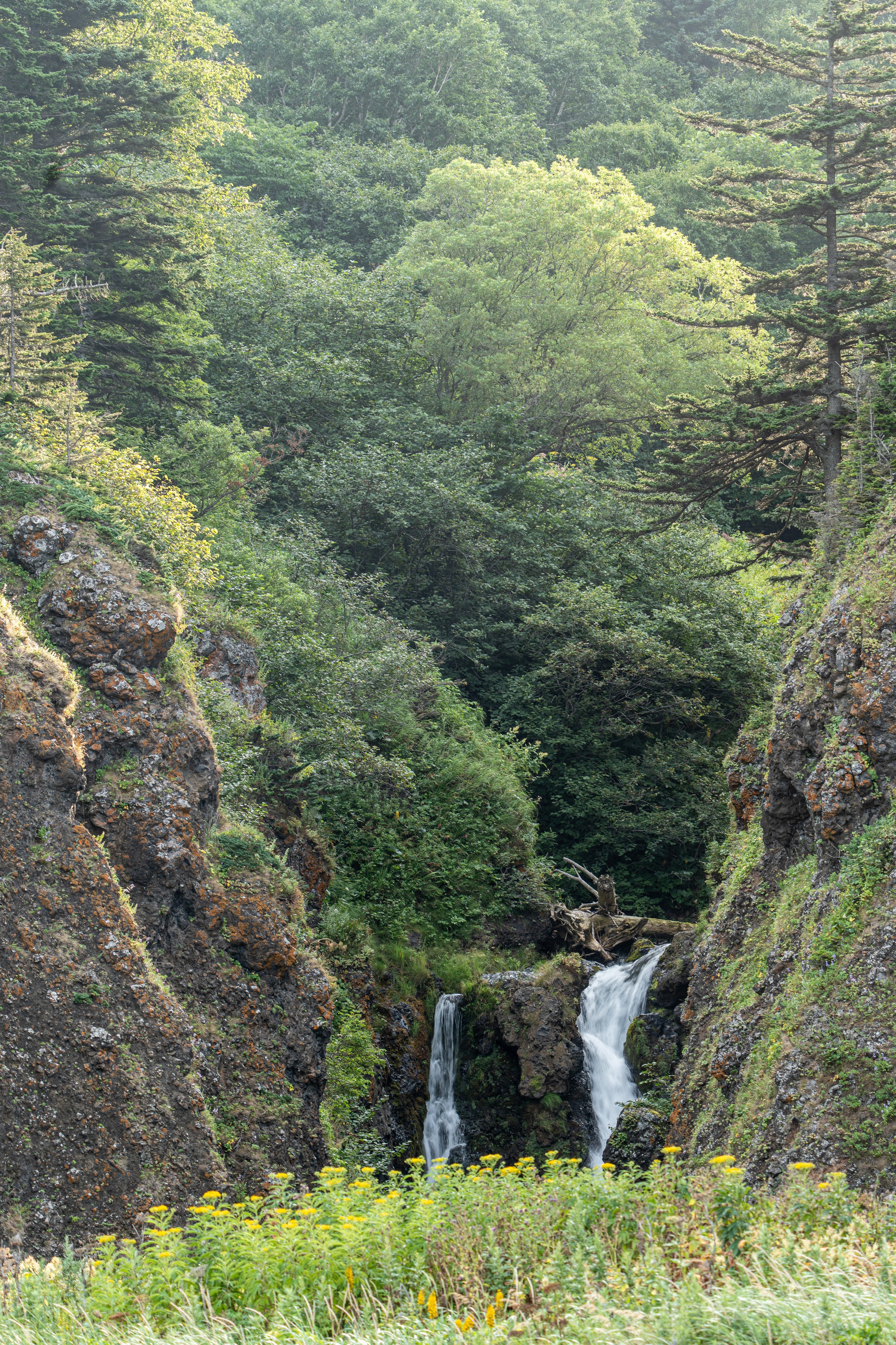 Сахалин 2025. Творческие сьемки