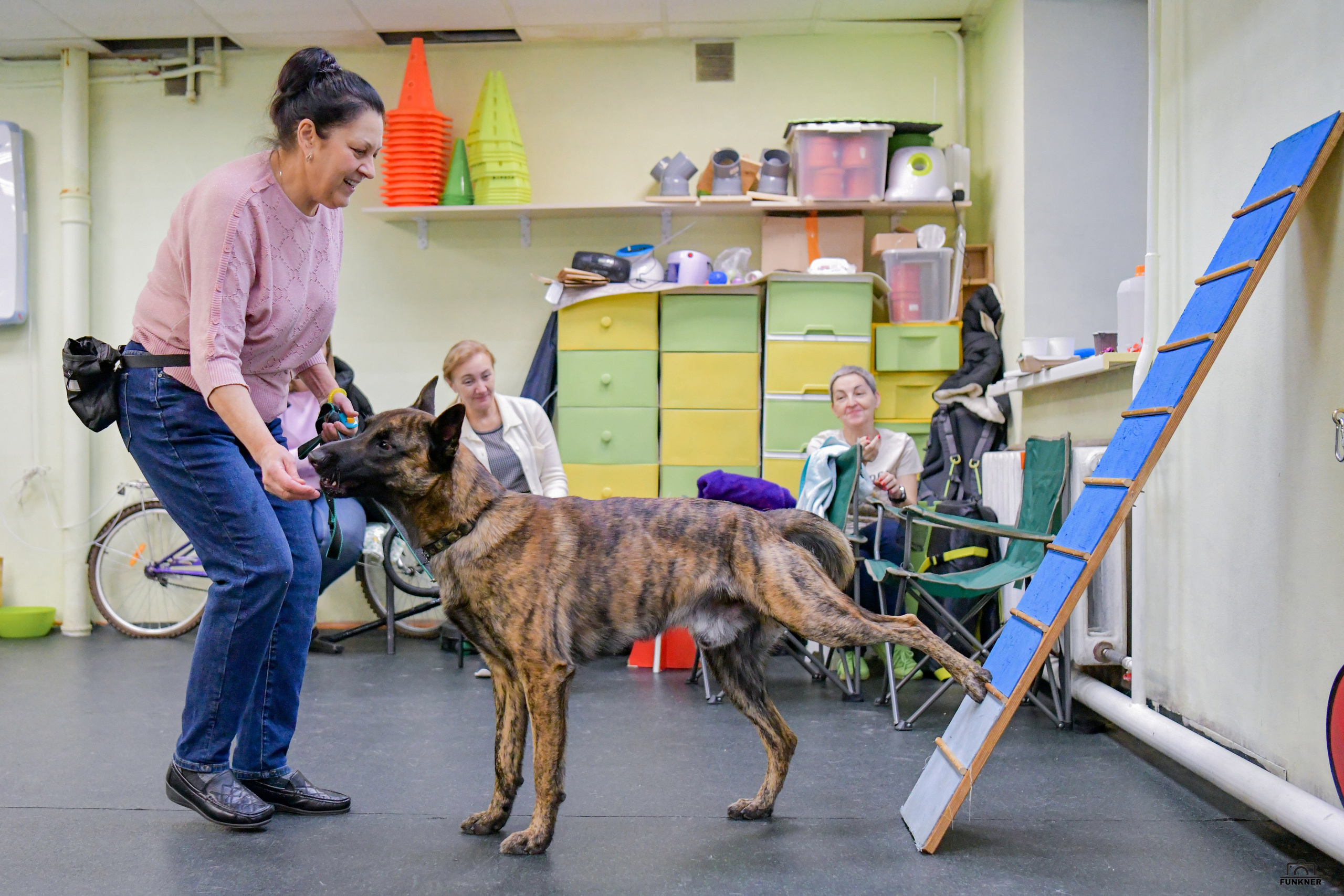 Кинологический клуб «Бодрый хвост». Свой взгляд через объектив