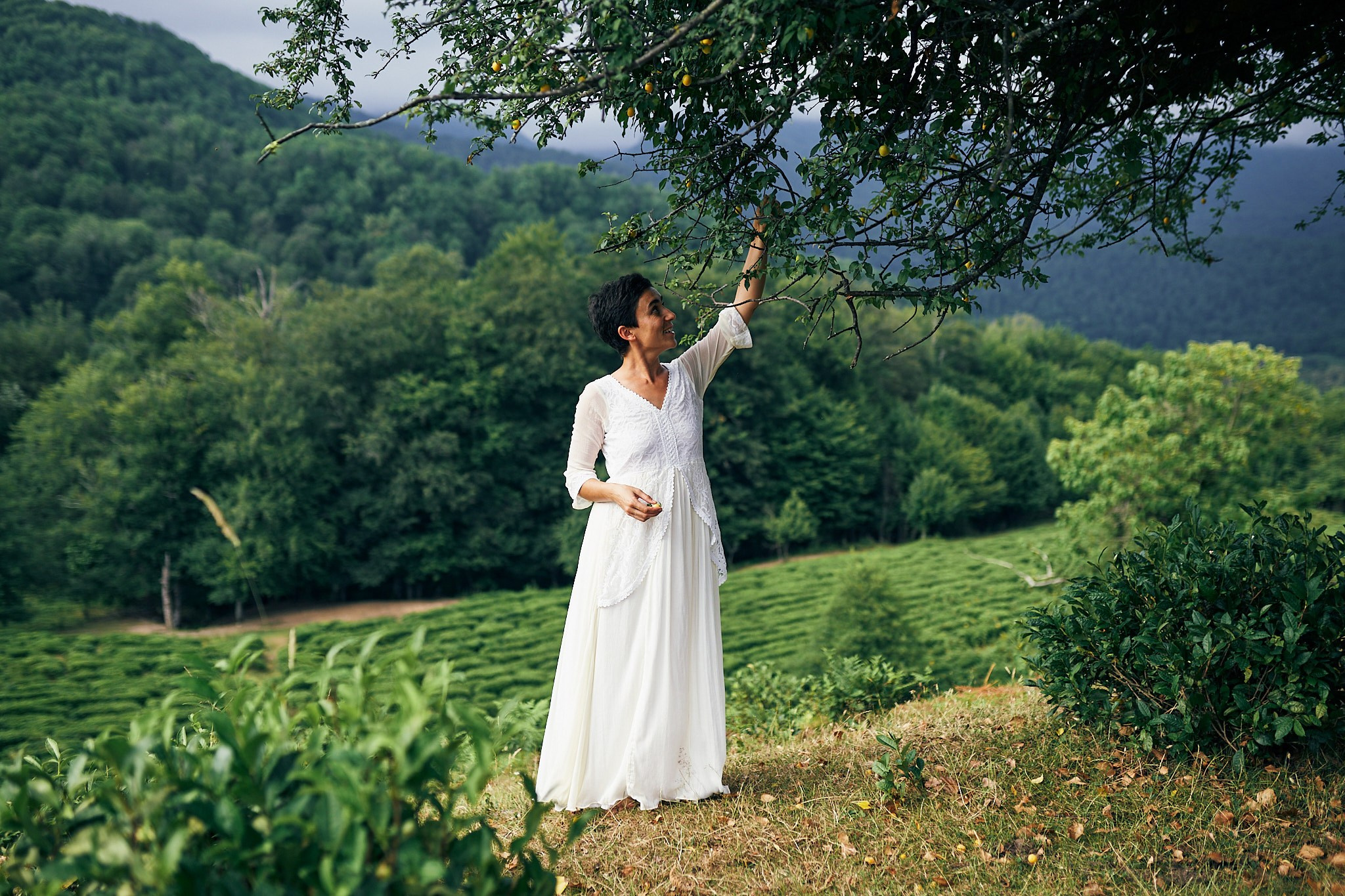 Чайные плантации. Фотограф в Сочи Катя Гончарова