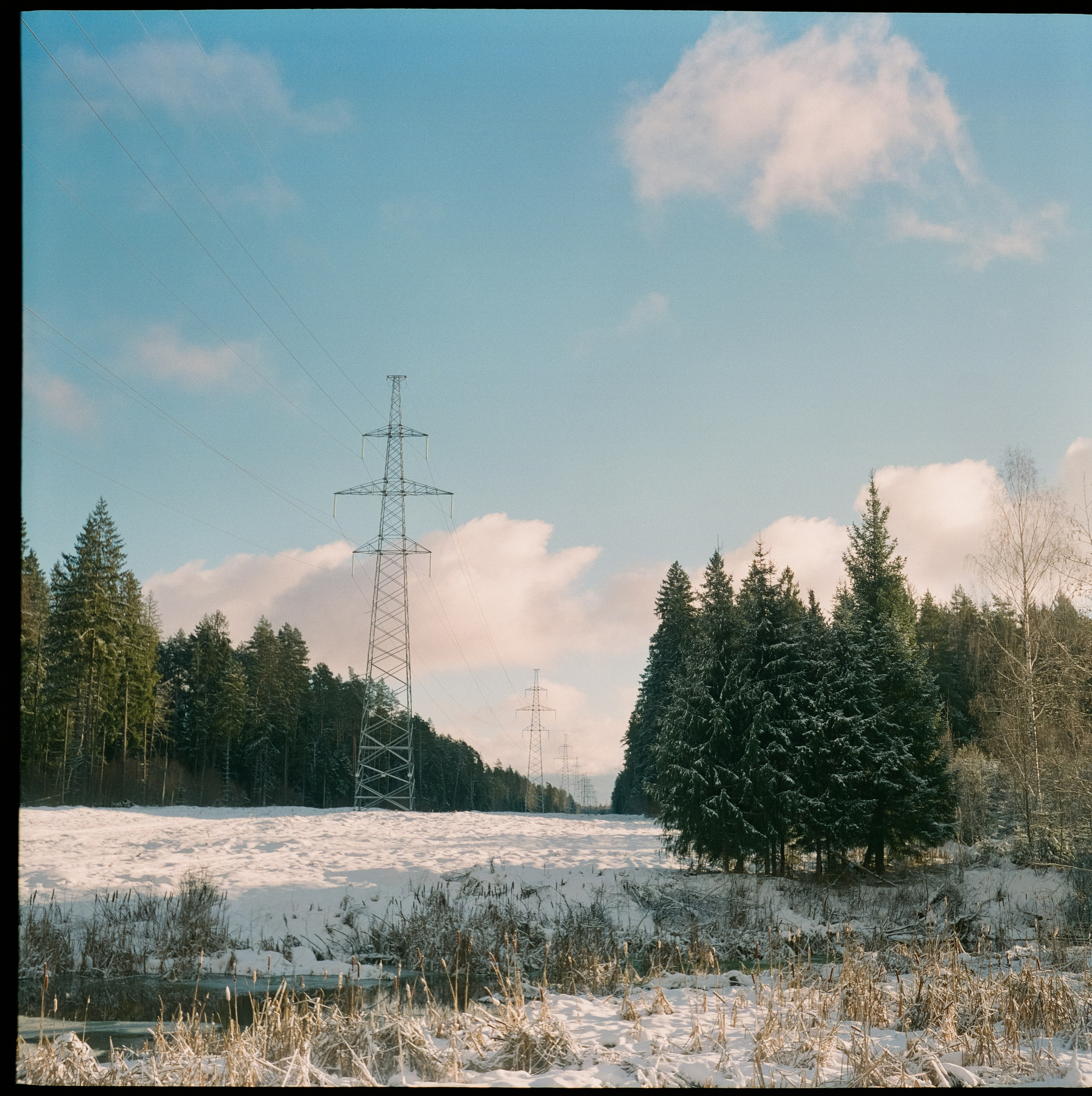 Fujicolor PRO 400H примеры фотографий