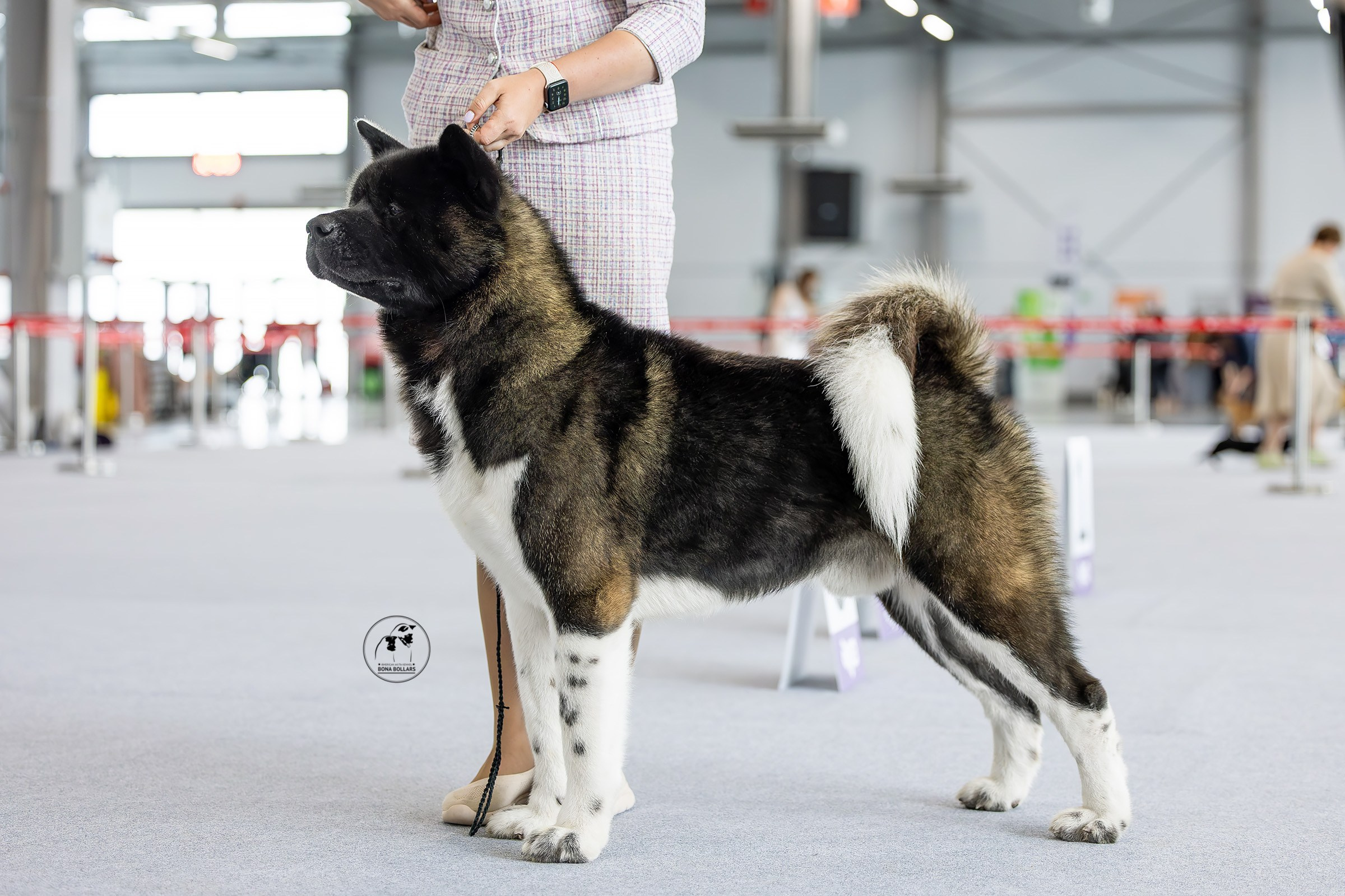 22 июня 2025, Выставка РКФ, г. Казань. Htykk_photo