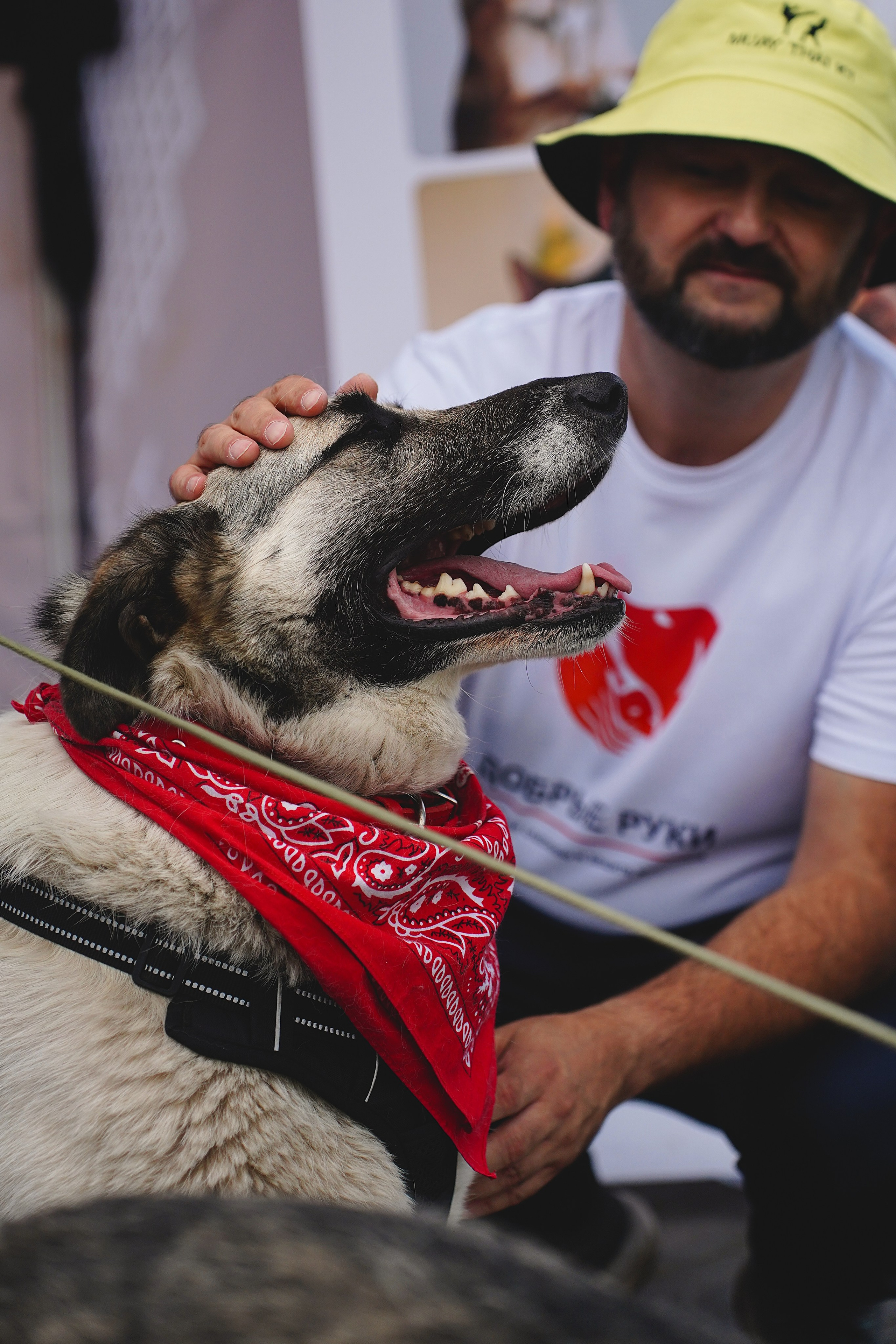 Репортажка. Pupov.png