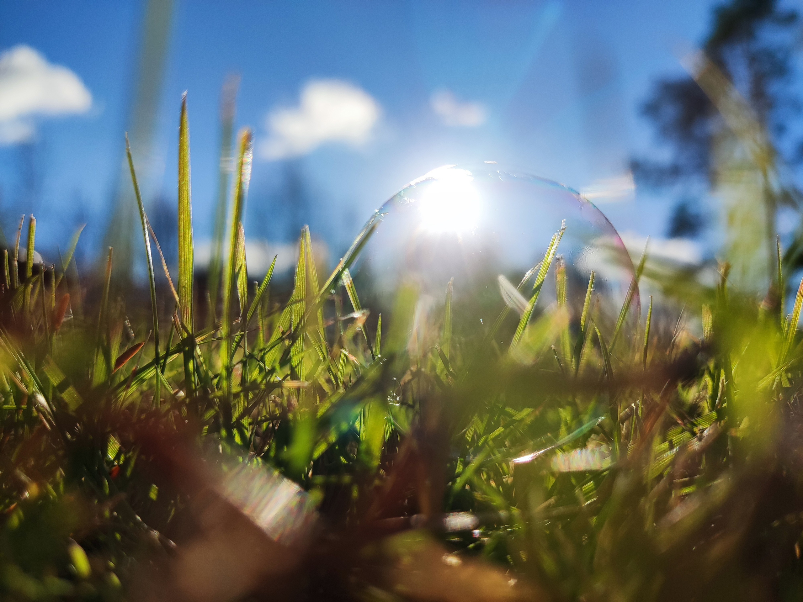 Уличная съёмка. F.O.xygen