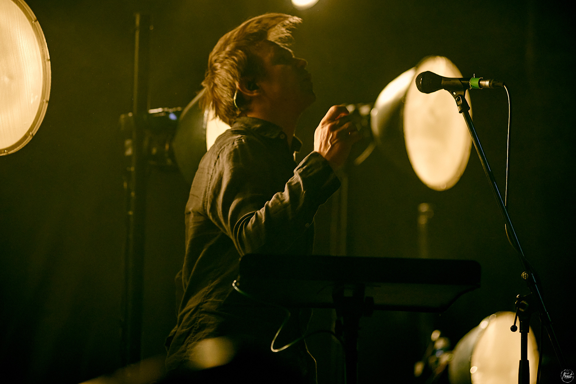 Дельфин. Фотографии отовсюду и обо всем