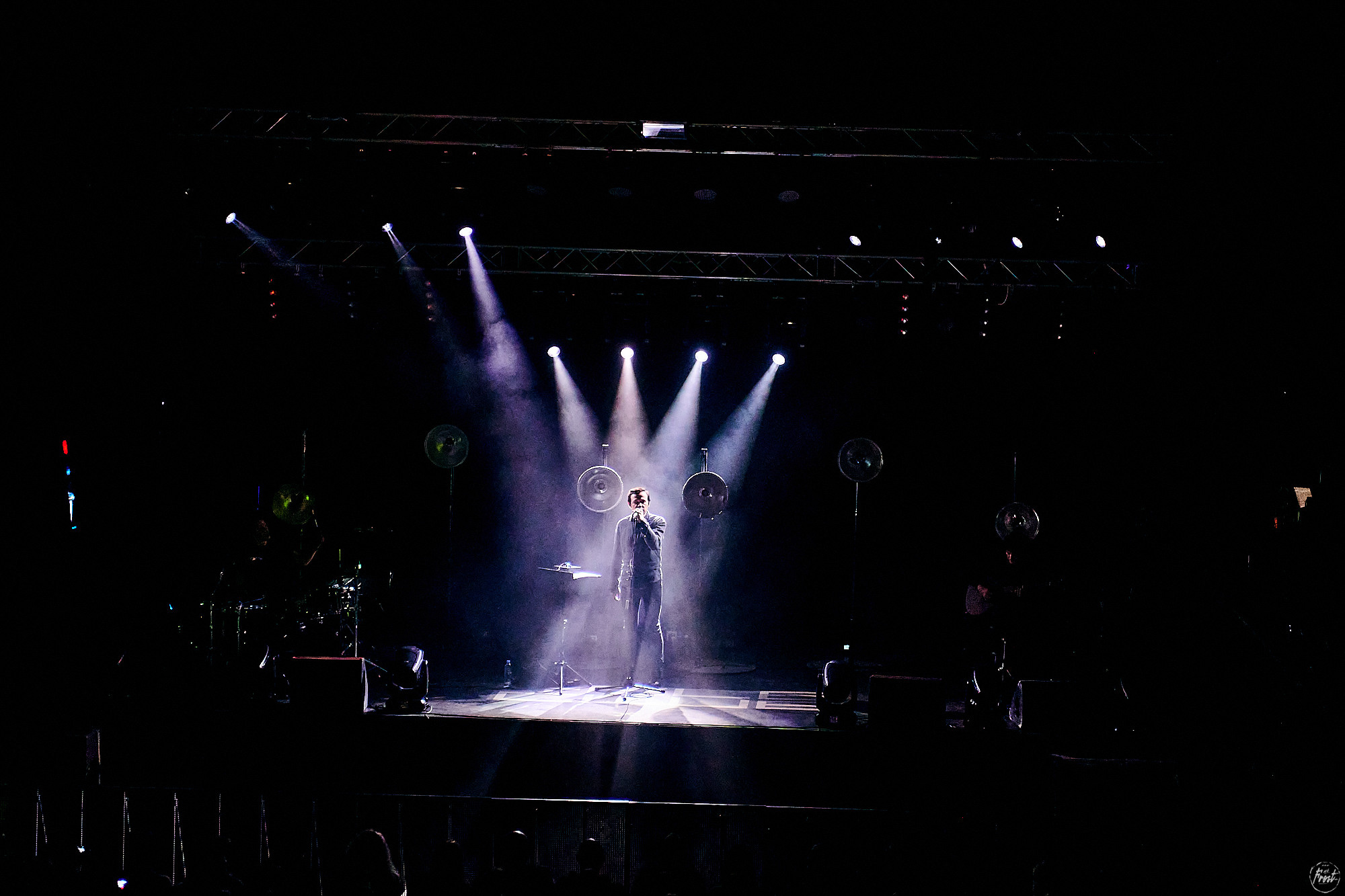 Дельфин. Фотографии отовсюду и обо всем