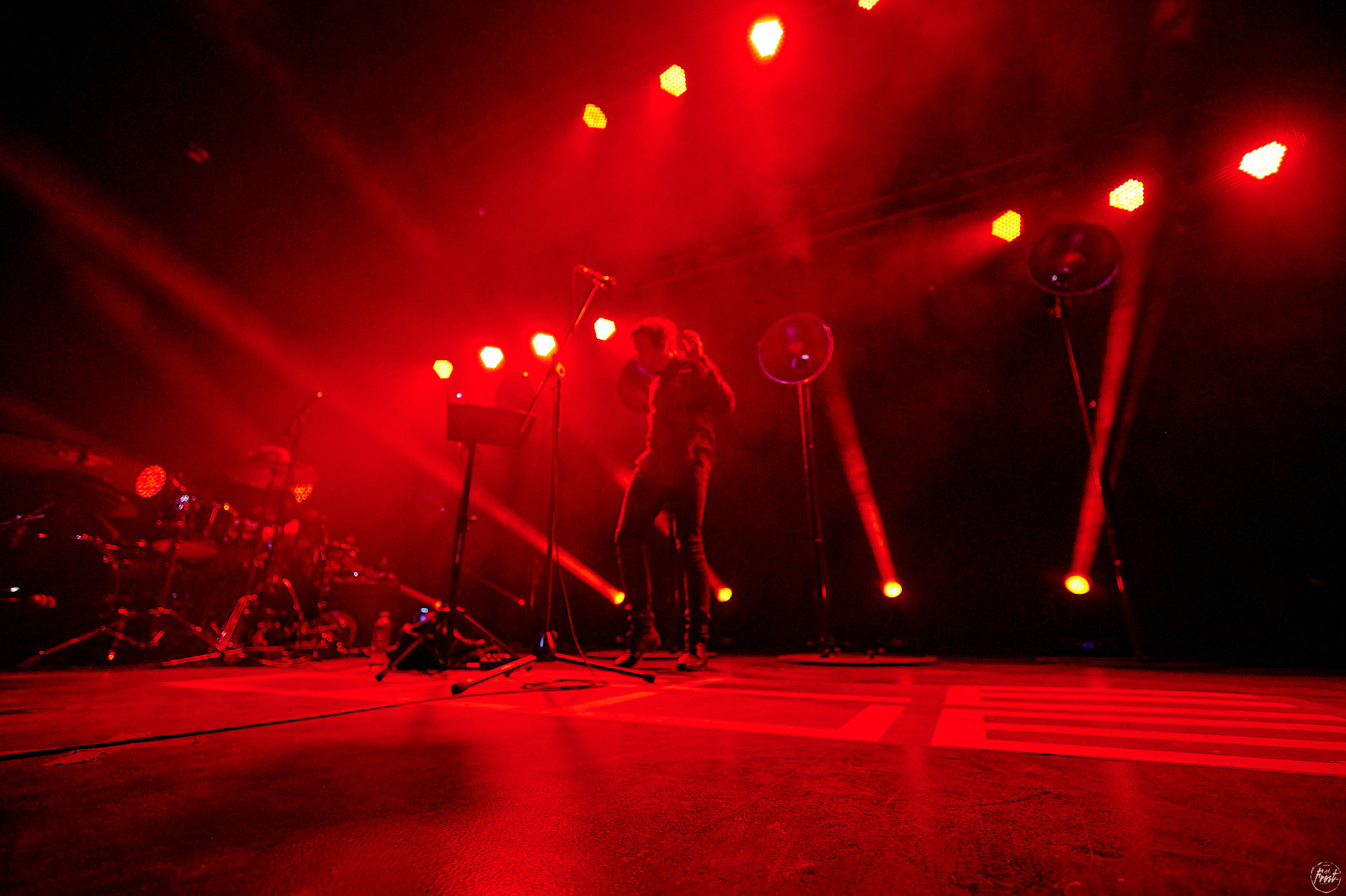 Дельфин. Фотографии отовсюду и обо всем