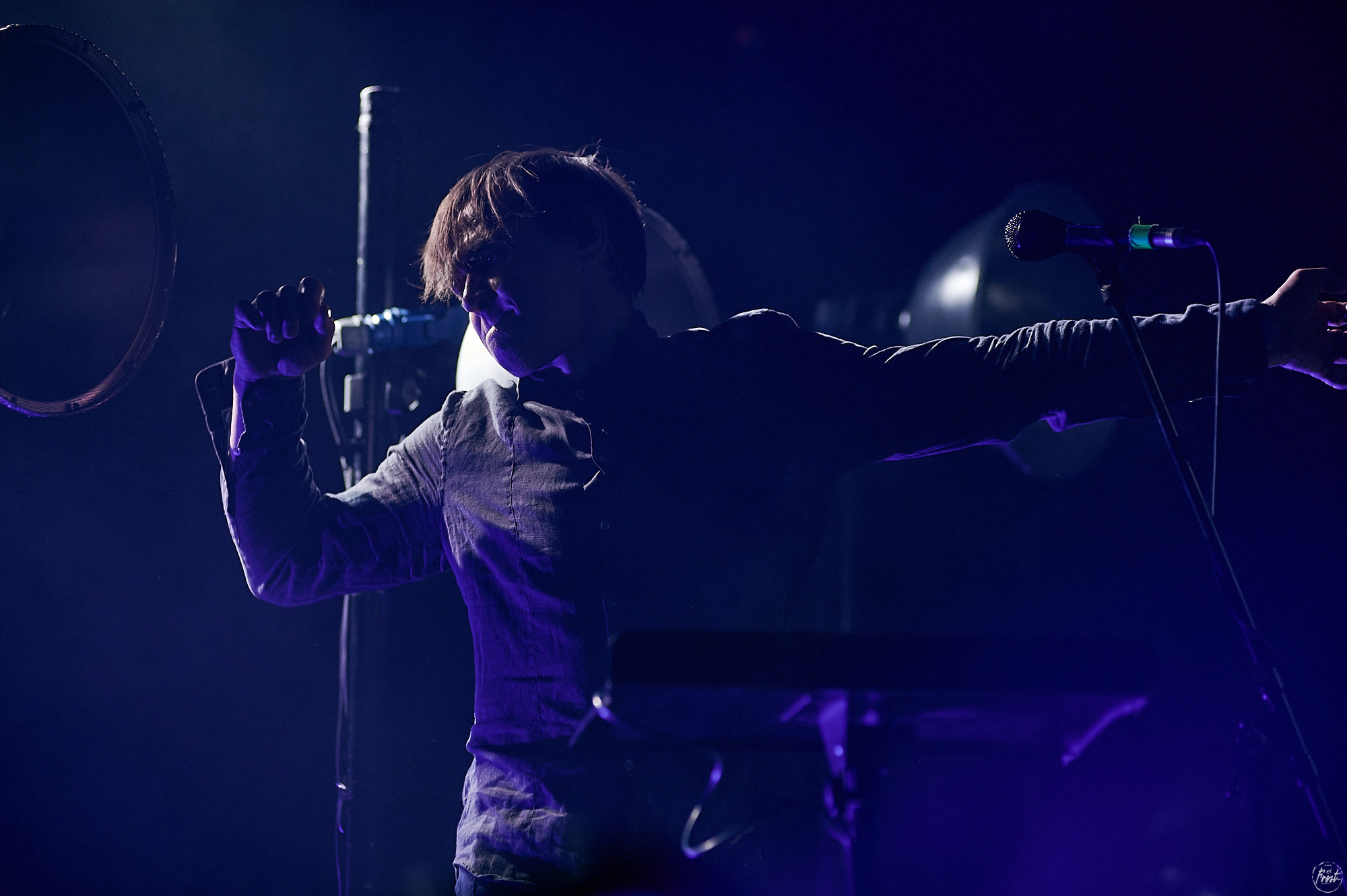 Дельфин. Фотографии отовсюду и обо всем