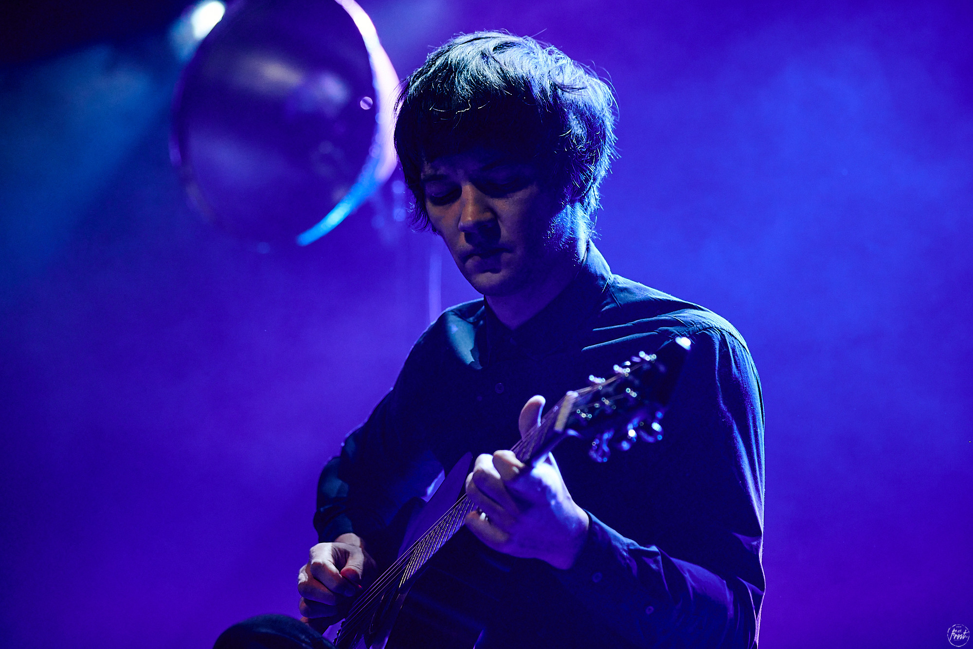 Дельфин. Фотографии отовсюду и обо всем