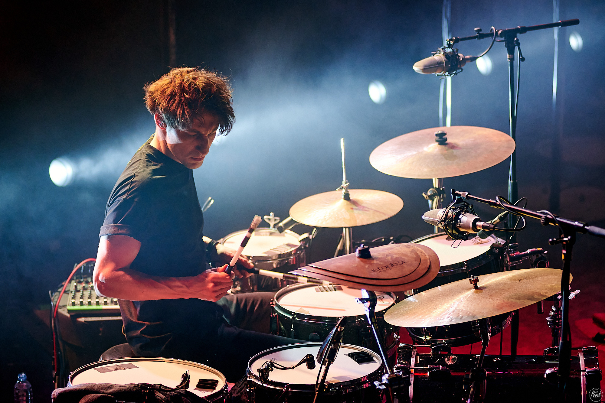 Дельфин. Фотографии отовсюду и обо всем