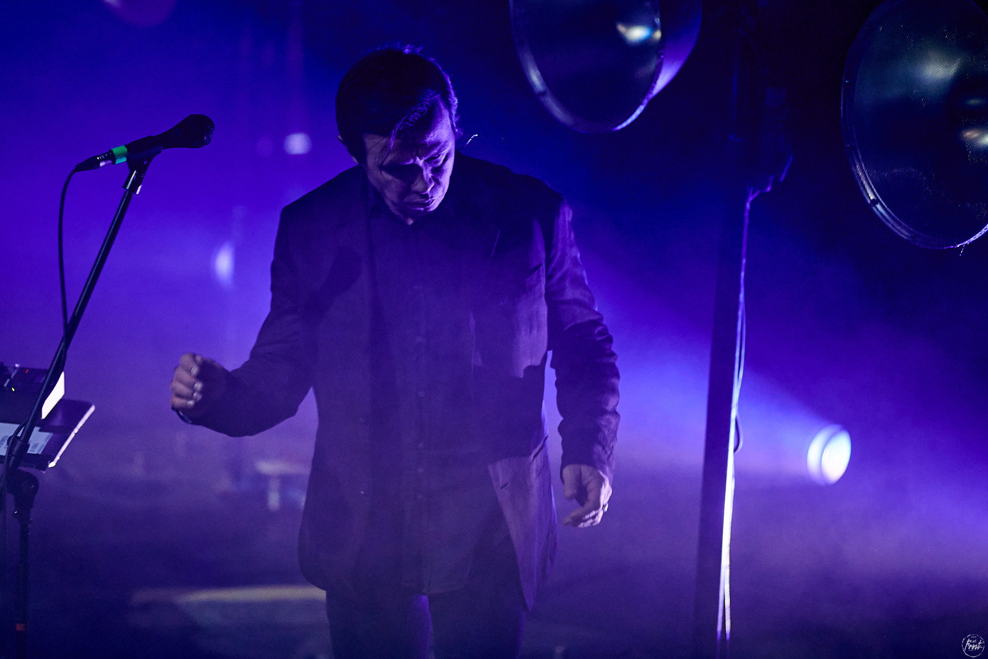 Дельфин. Фотографии отовсюду и обо всем