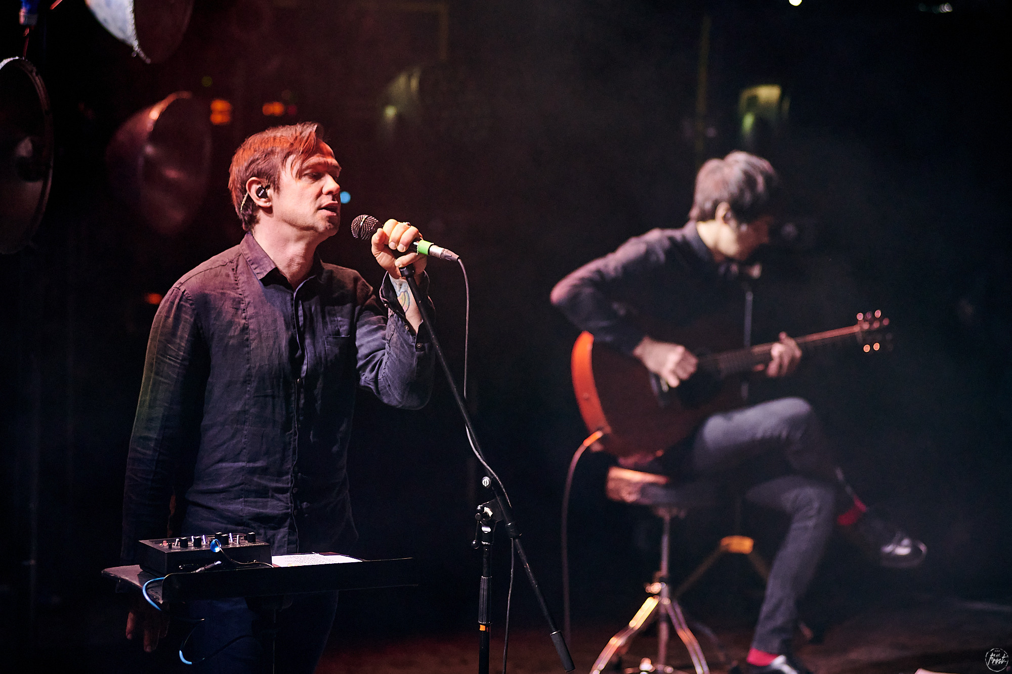 Дельфин. Фотографии отовсюду и обо всем