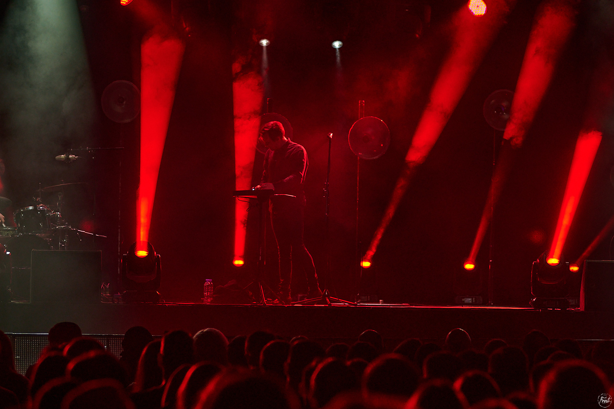 Дельфин. Фотографии отовсюду и обо всем