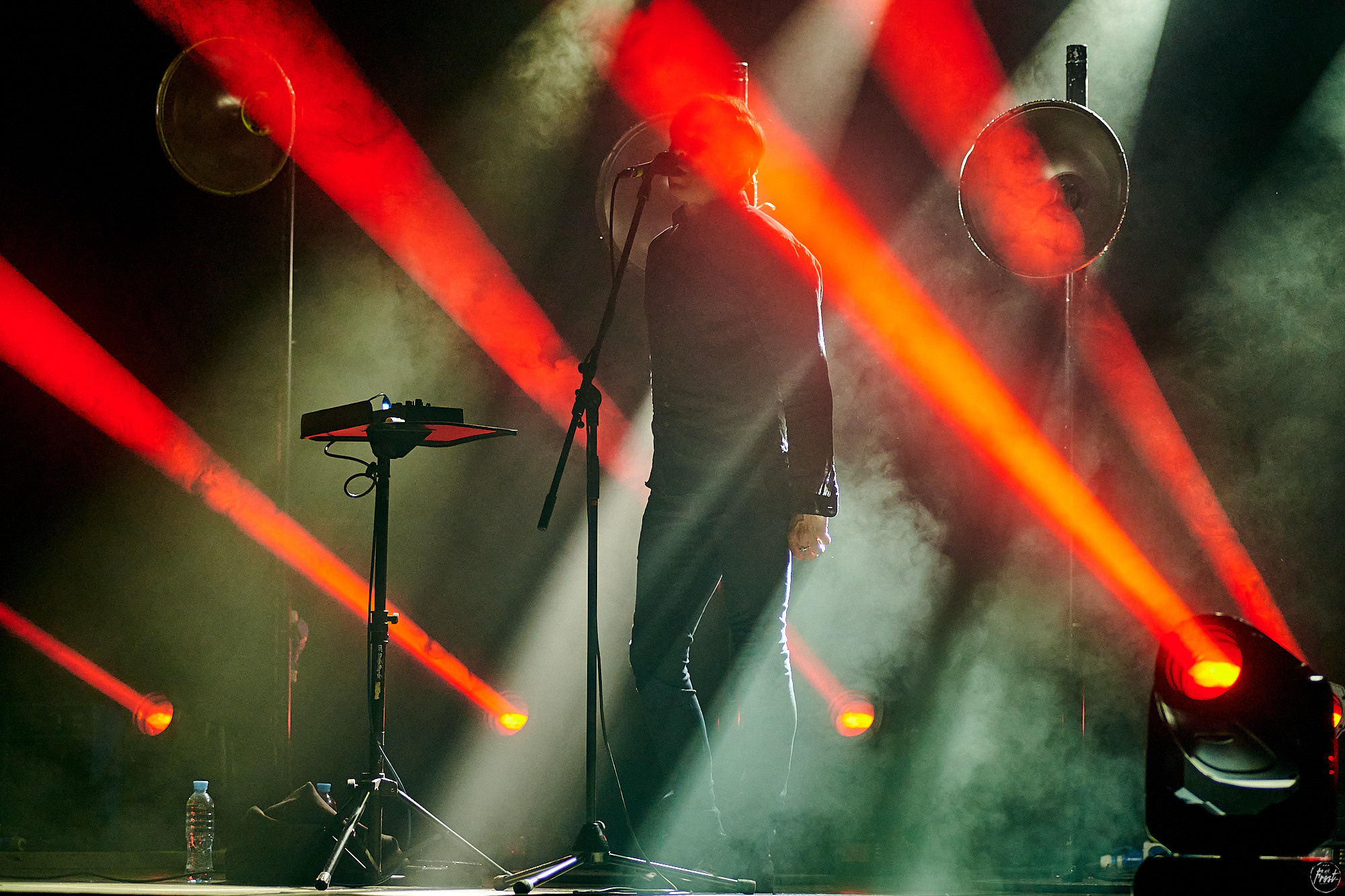 Дельфин. Фотографии отовсюду и обо всем